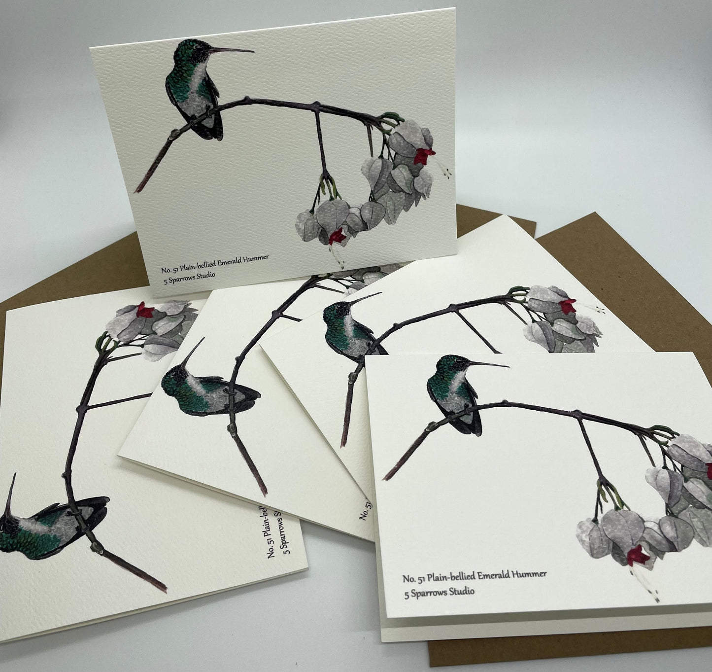 Plain Bellied Emerald - Bird Art by KB - Notecard Set