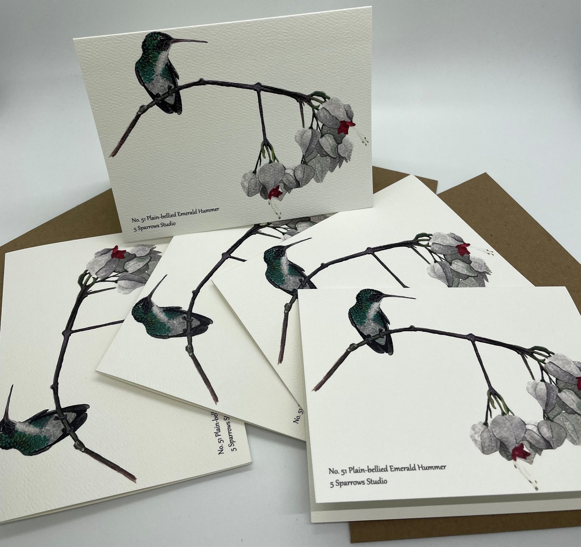 Plain Bellied Emerald - Bird Art by KB - Notecard Set