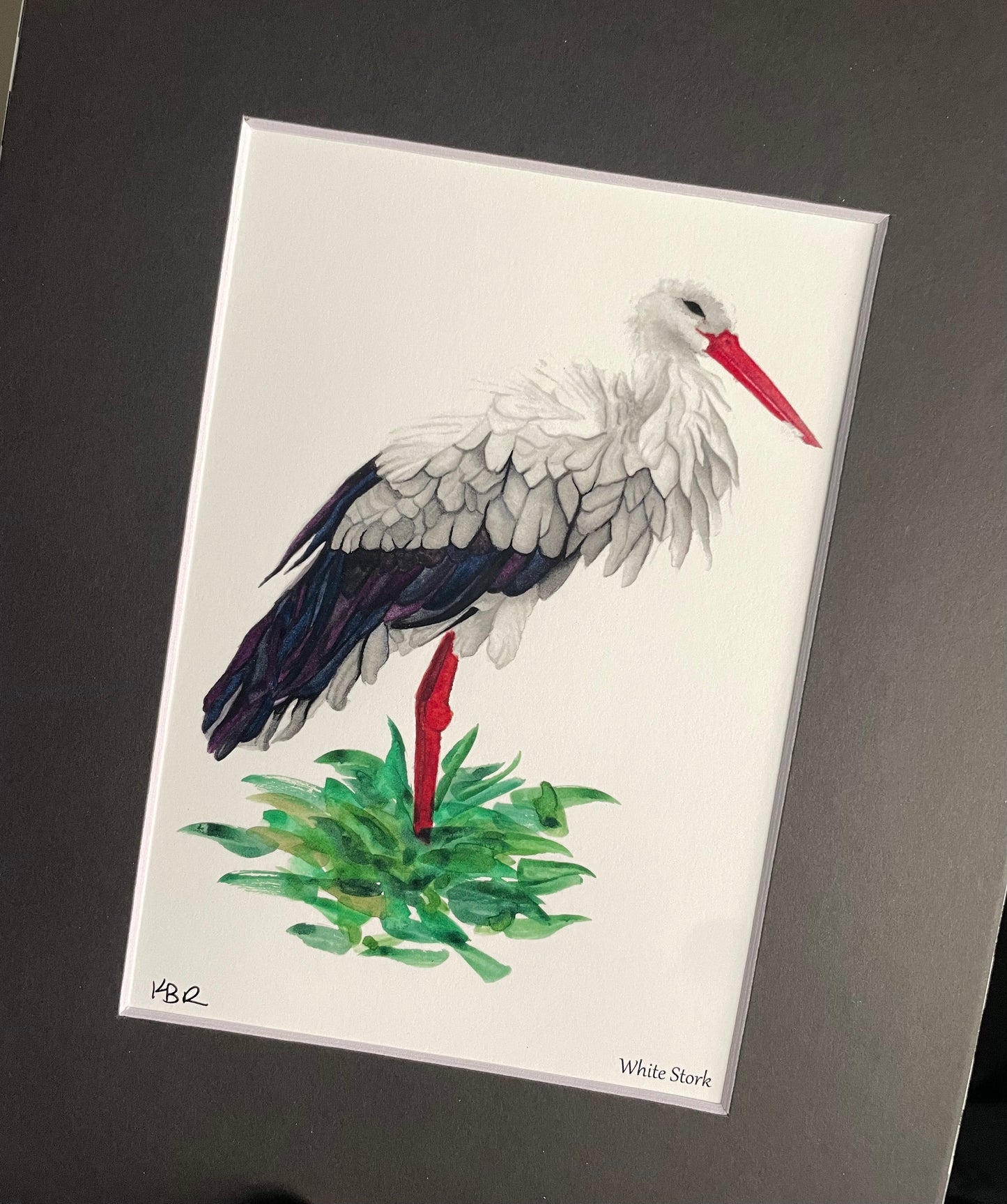 White Stork - Bird Art by KB - Giclee Print with Black Mat
