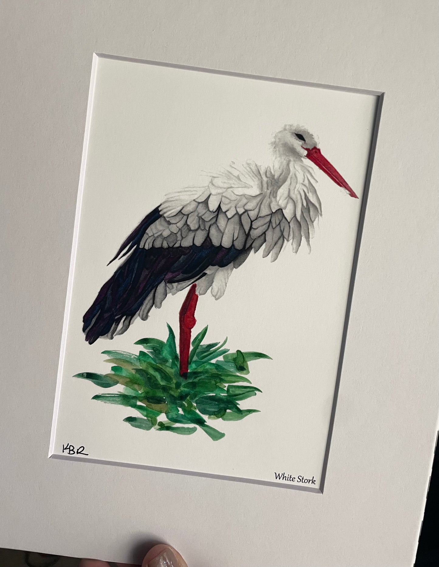 White Stork - Bird Art by KB - Giclee Print with White Mat