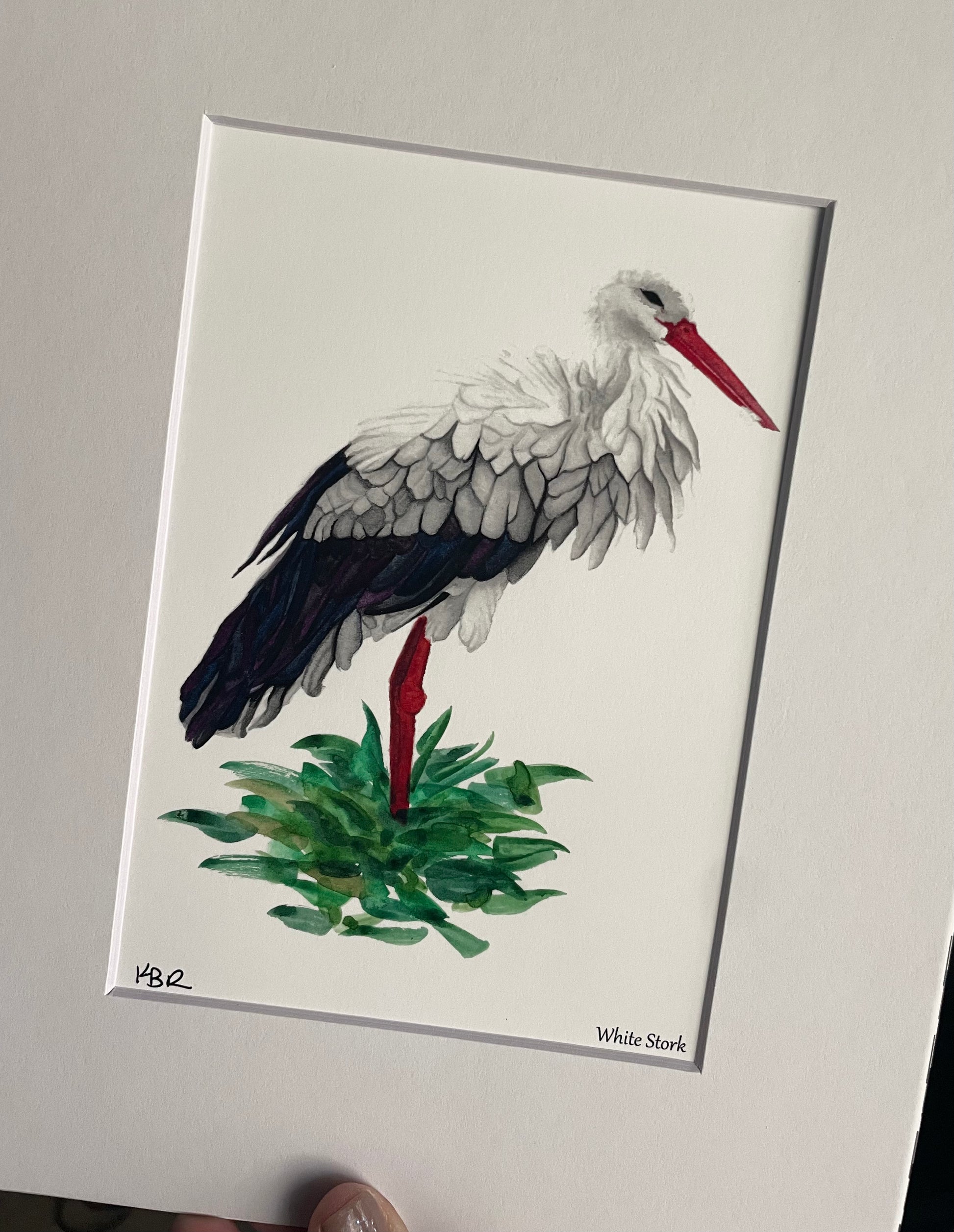 White Stork - Bird Art by KB - Giclee Print with White Mat