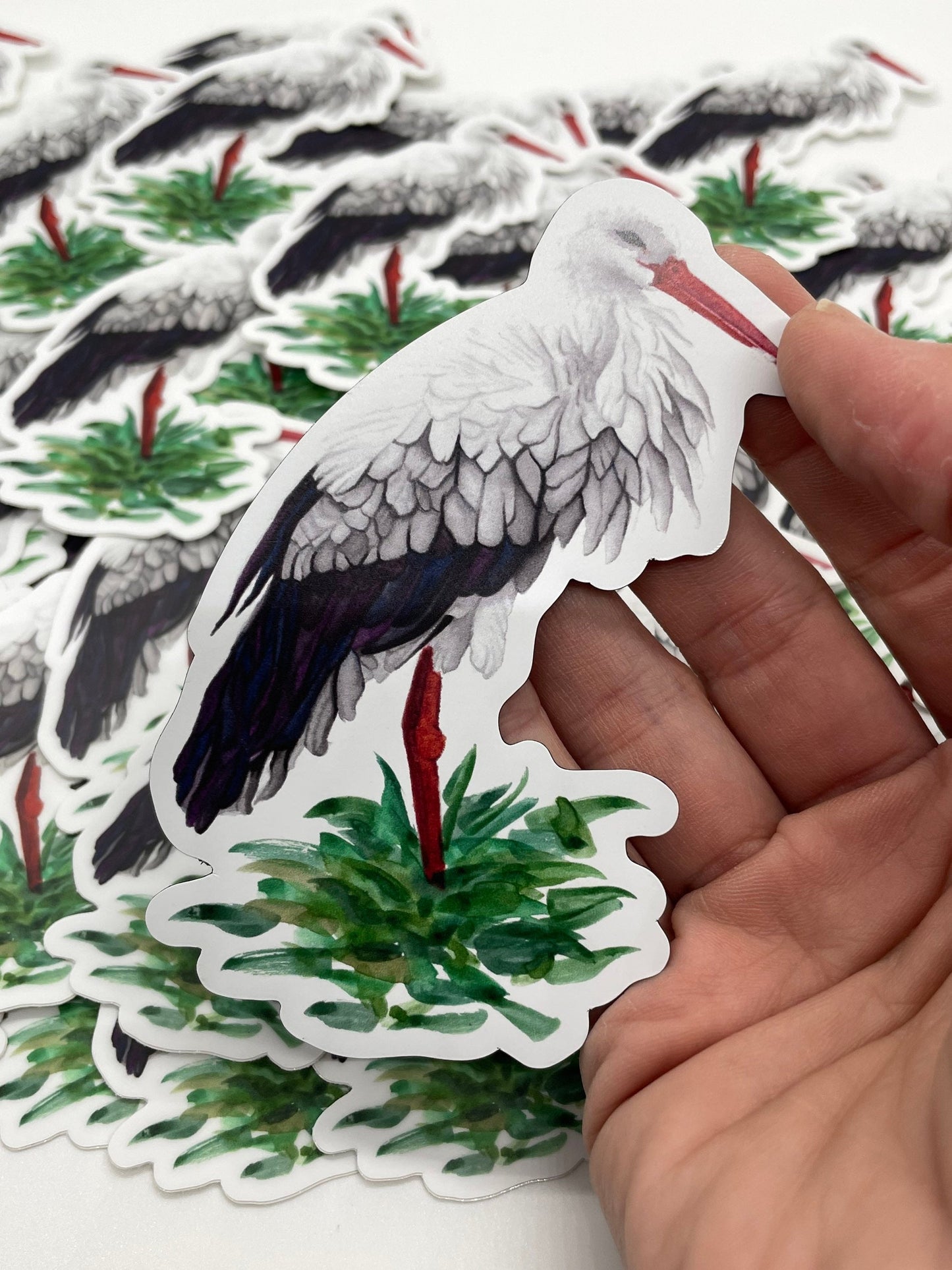 White Stork - Bird Art by KB - Magnet