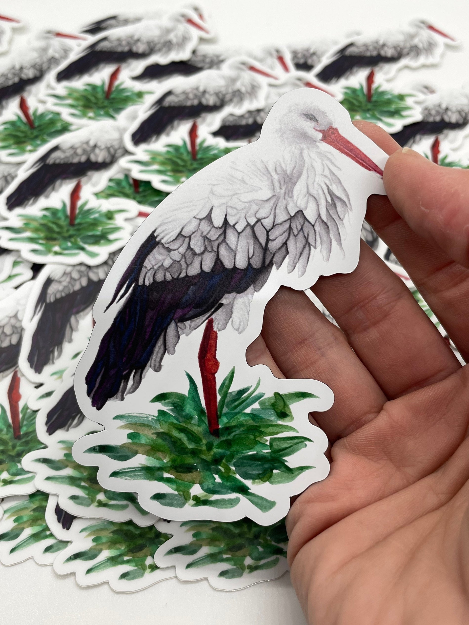 White Stork - Bird Art by KB - Magnet