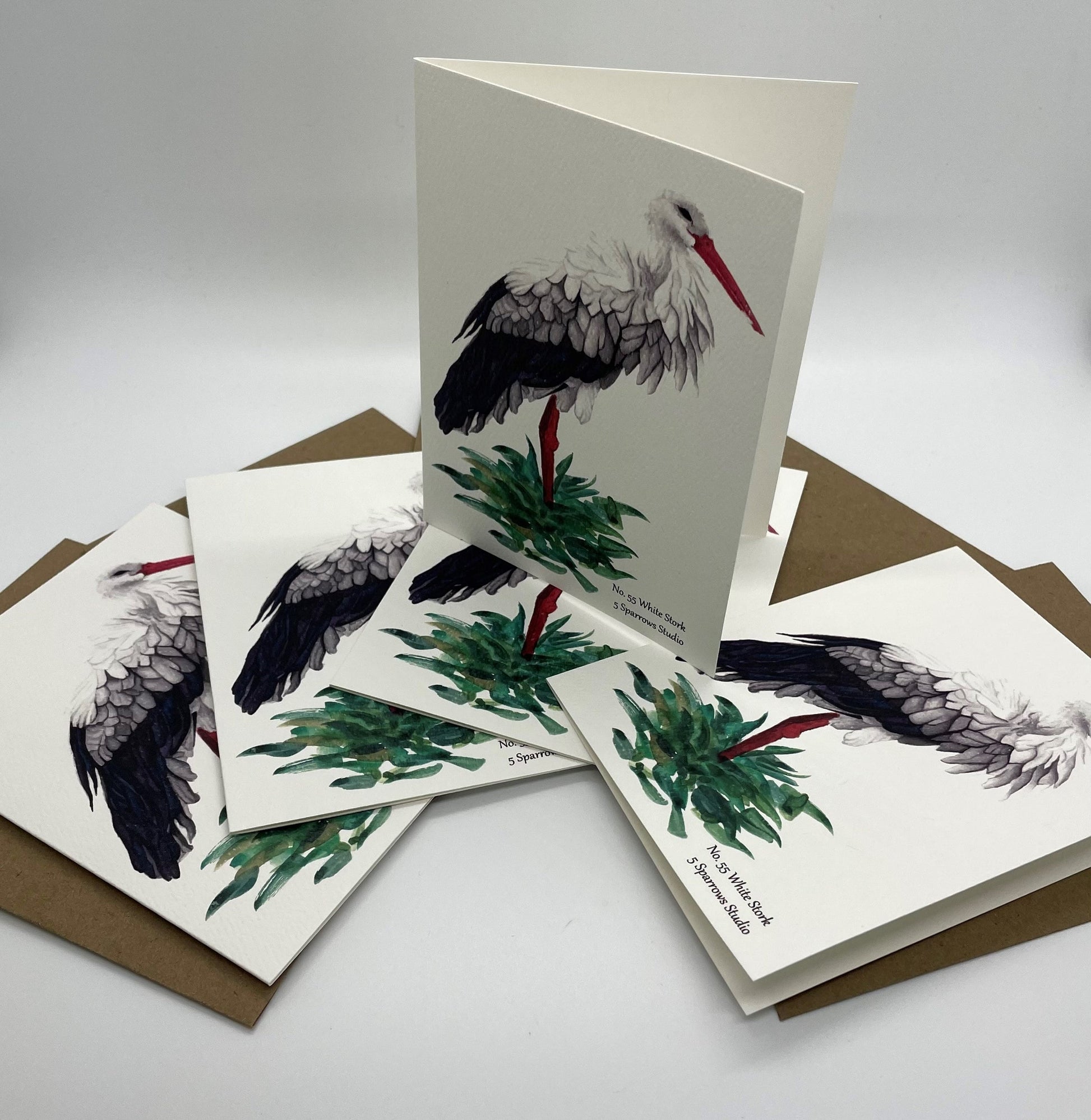 White Stork - Bird Art by KB - Notecard Set