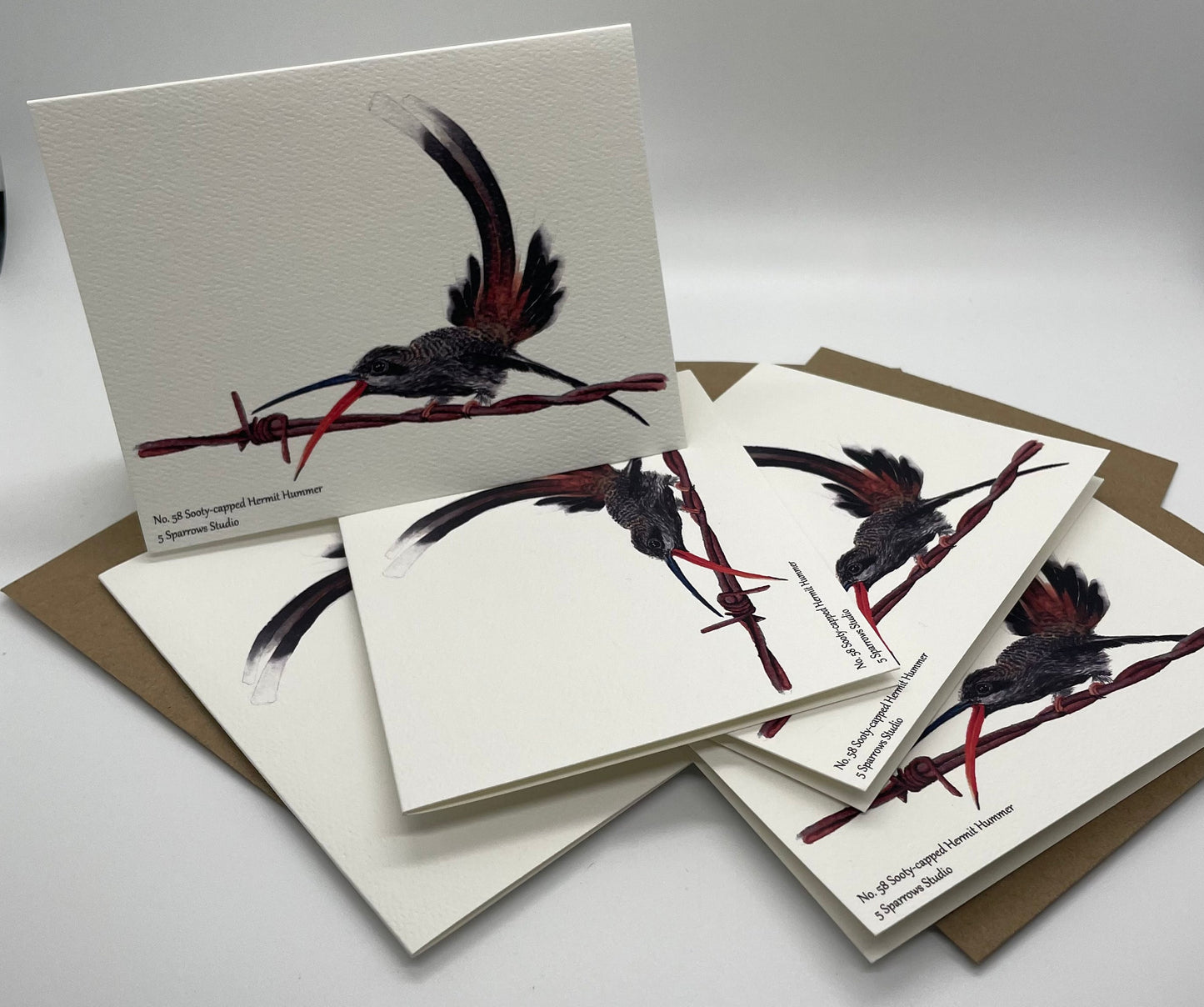 Sooty-capped Hermit - Bird Art by KB - Notecard Set