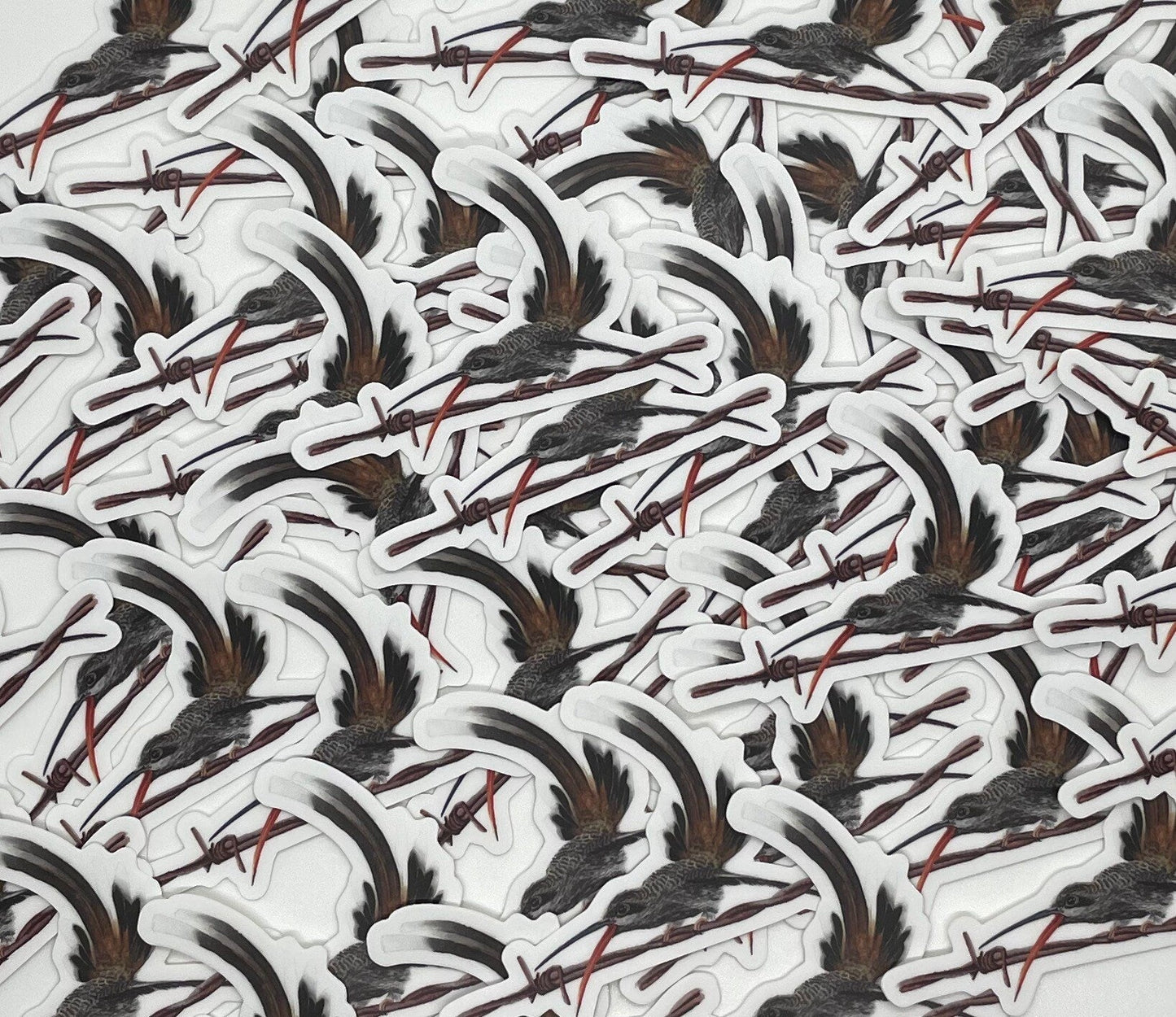 Sooty-capped Hermit - Bird Art by KB - Sticker