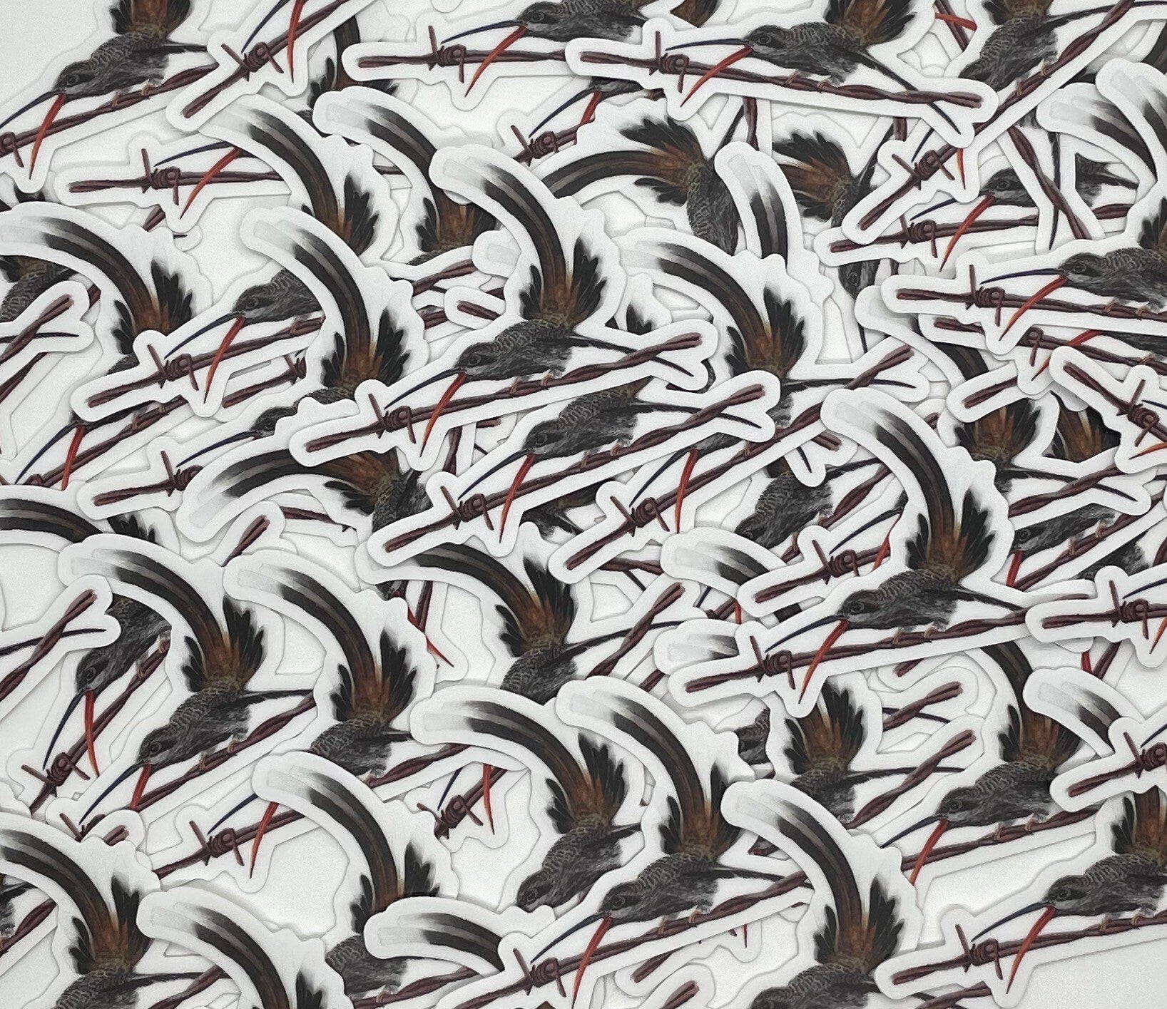 Sooty-capped Hermit - Bird Art by KB - Sticker