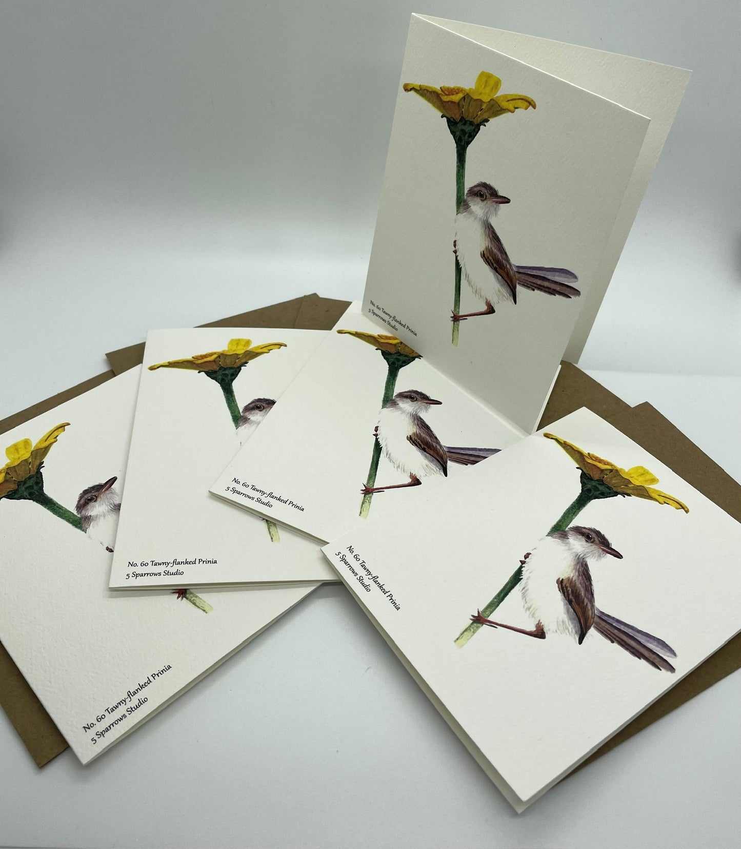Tawny Flanked Prinia (Adult) - Bird Art by KB - Notecard Set