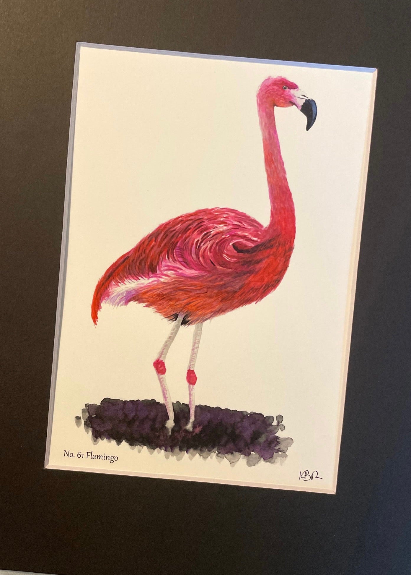 Flamingo - Giclee Print with Black Mat