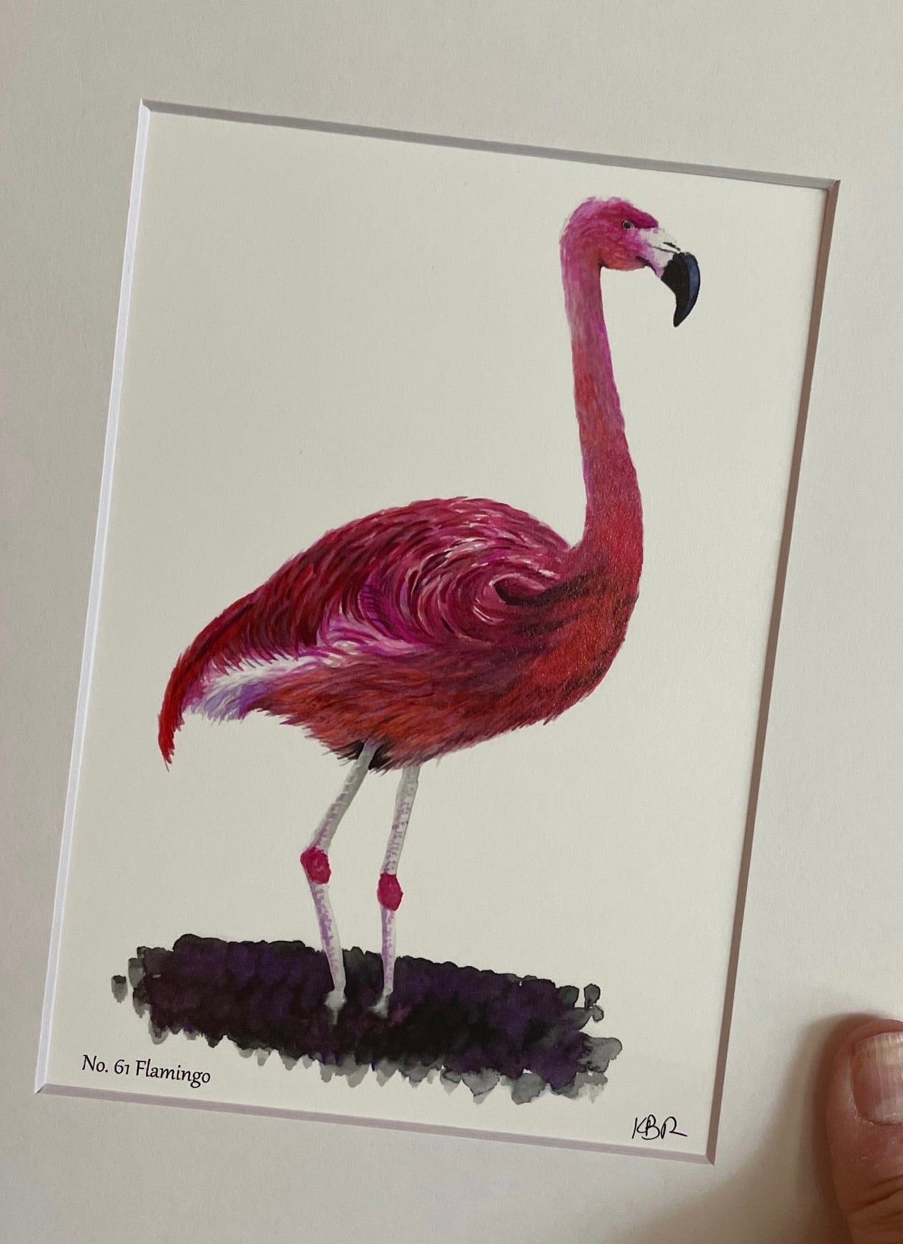 Flamingo - Giclee Print with White Mat