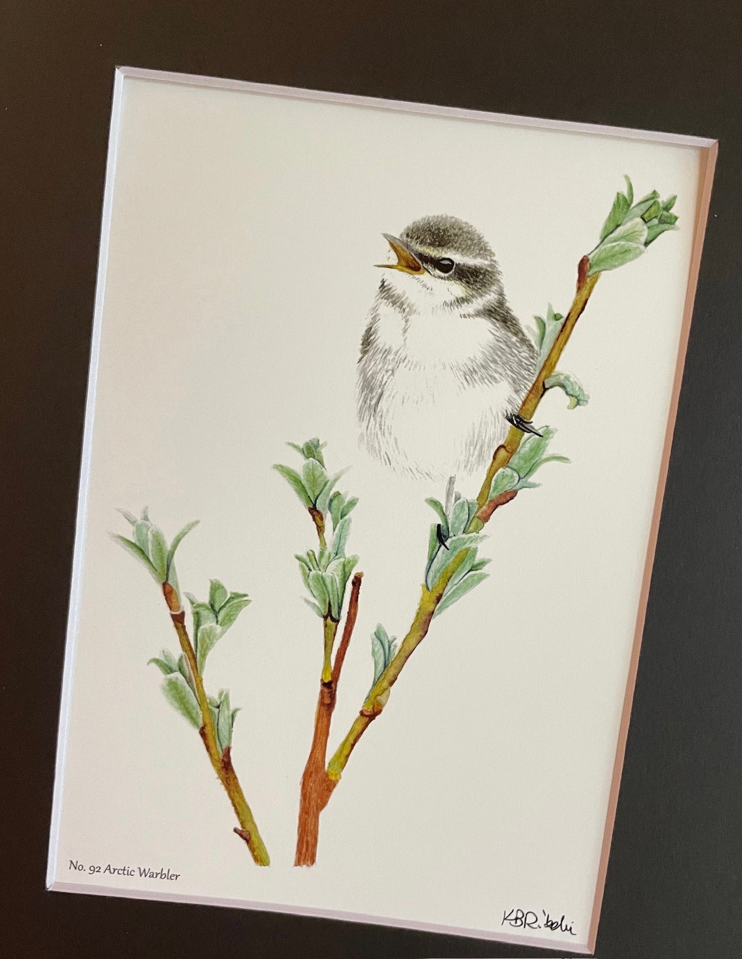 Arctic Warbler - Bird Art by KB