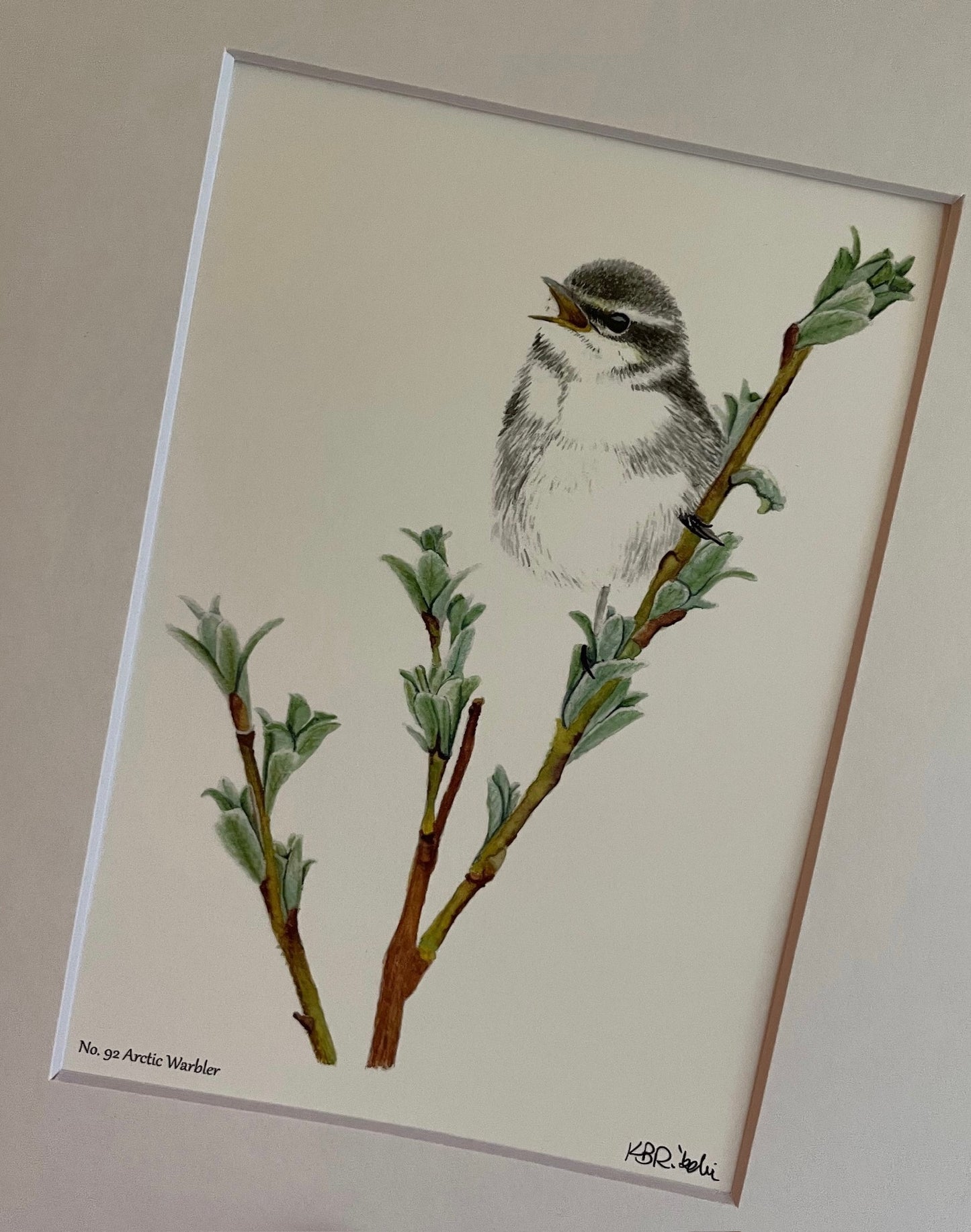 Arctic Warbler - Bird Art by KB