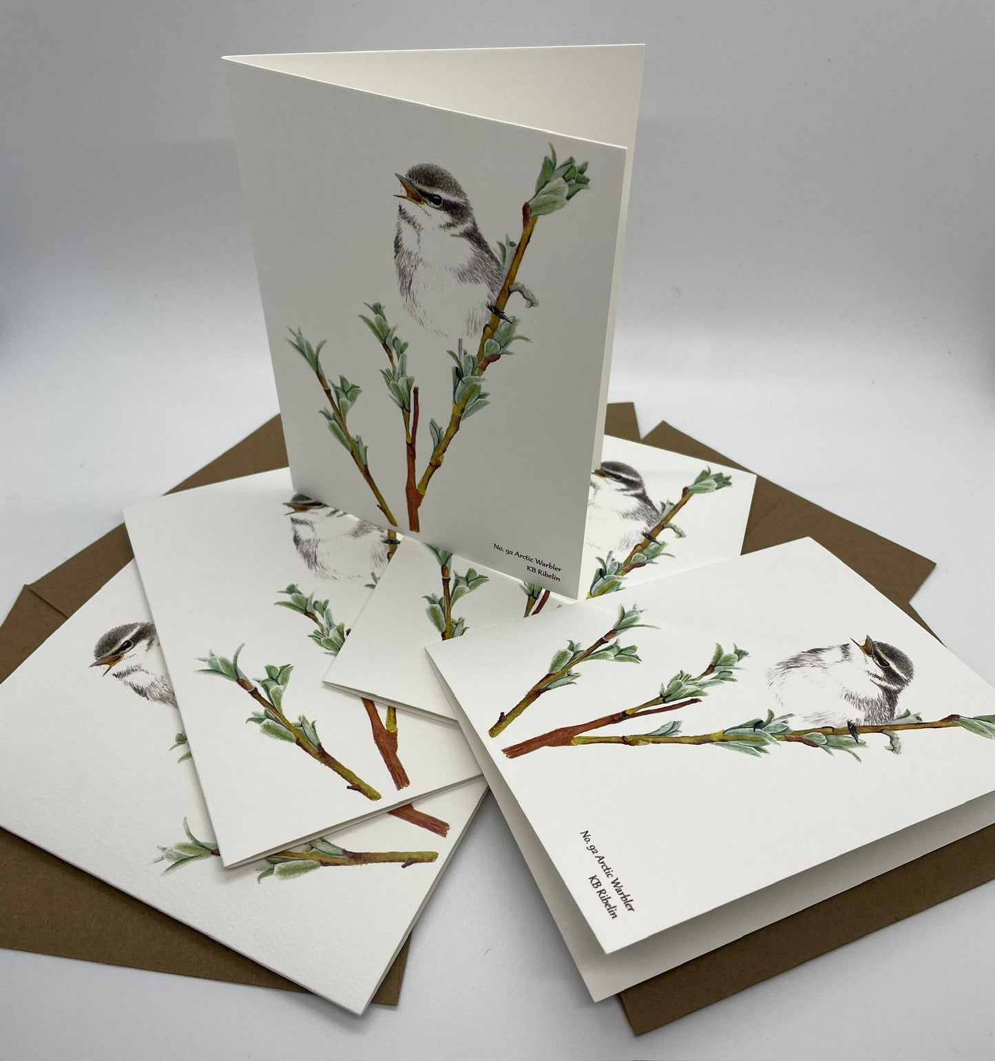 Arctic Warbler - Bird Art by KB - Notecard Set