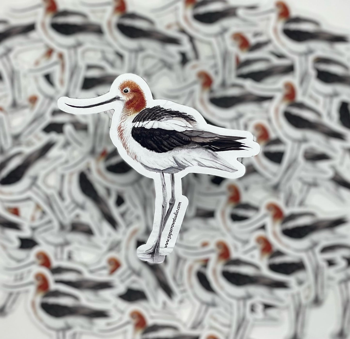 American Avocet - Bird Art by KB - Magnet