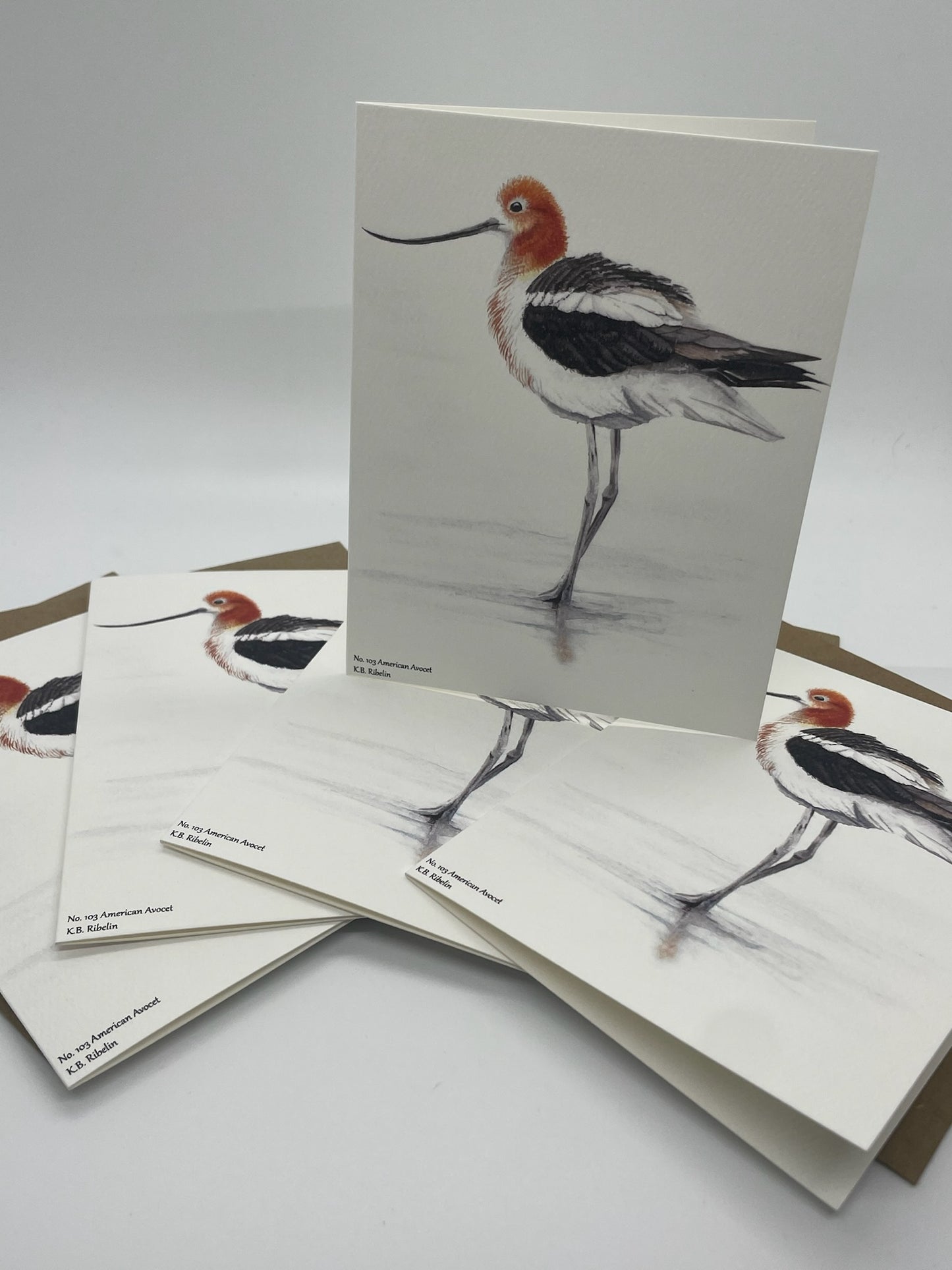 American Avocet - Bird Art by KB - Notecard Set