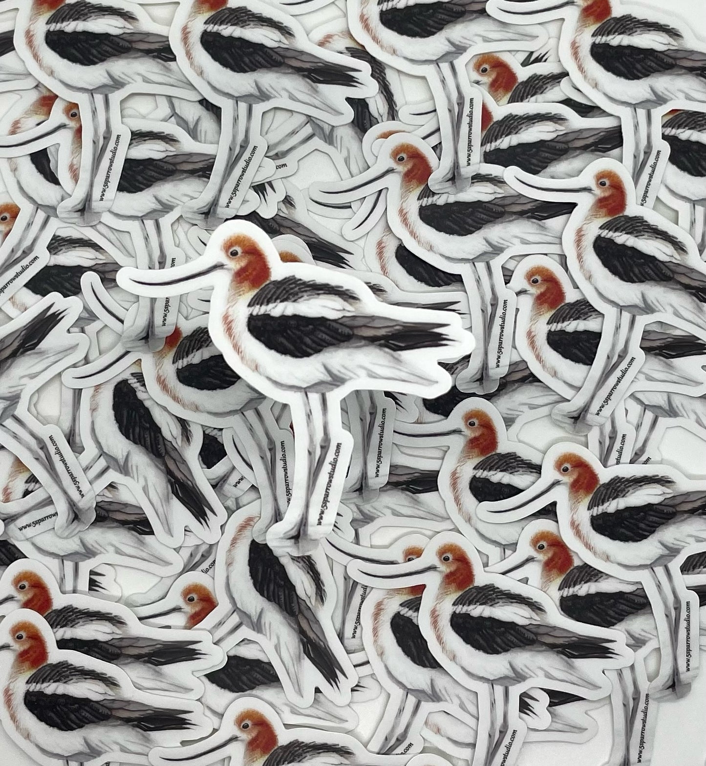 American Avocet - Bird Art by KB - Sticker