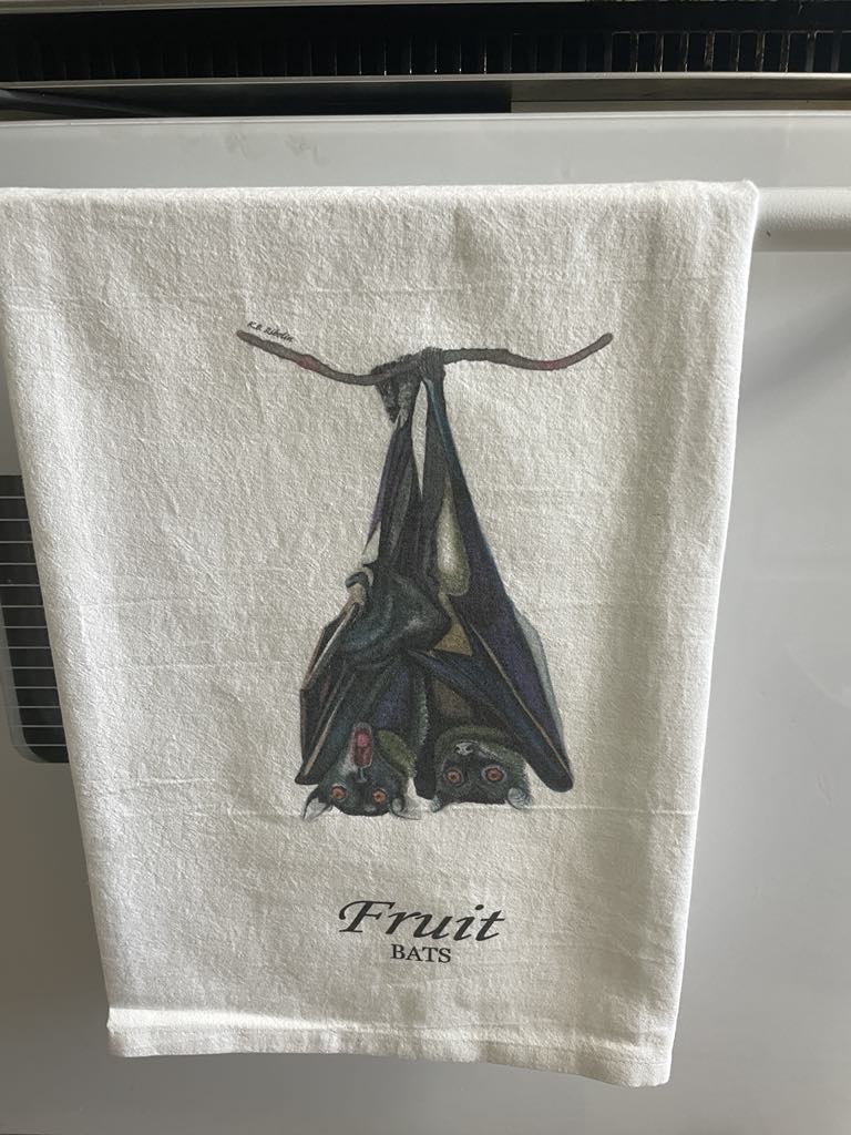 Fruit Bats - Bird Art by KB - Towel