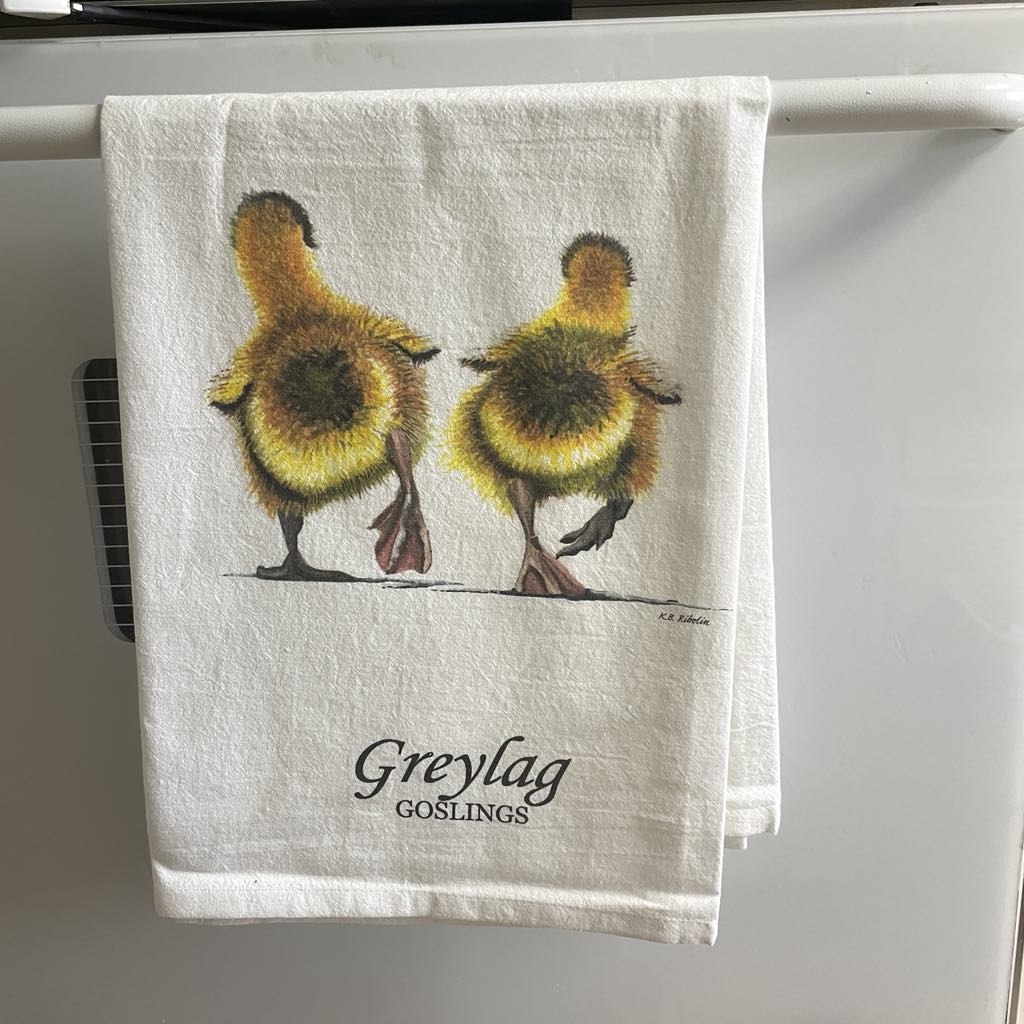 Greylag Goslings - Bird Art by KB - Towel