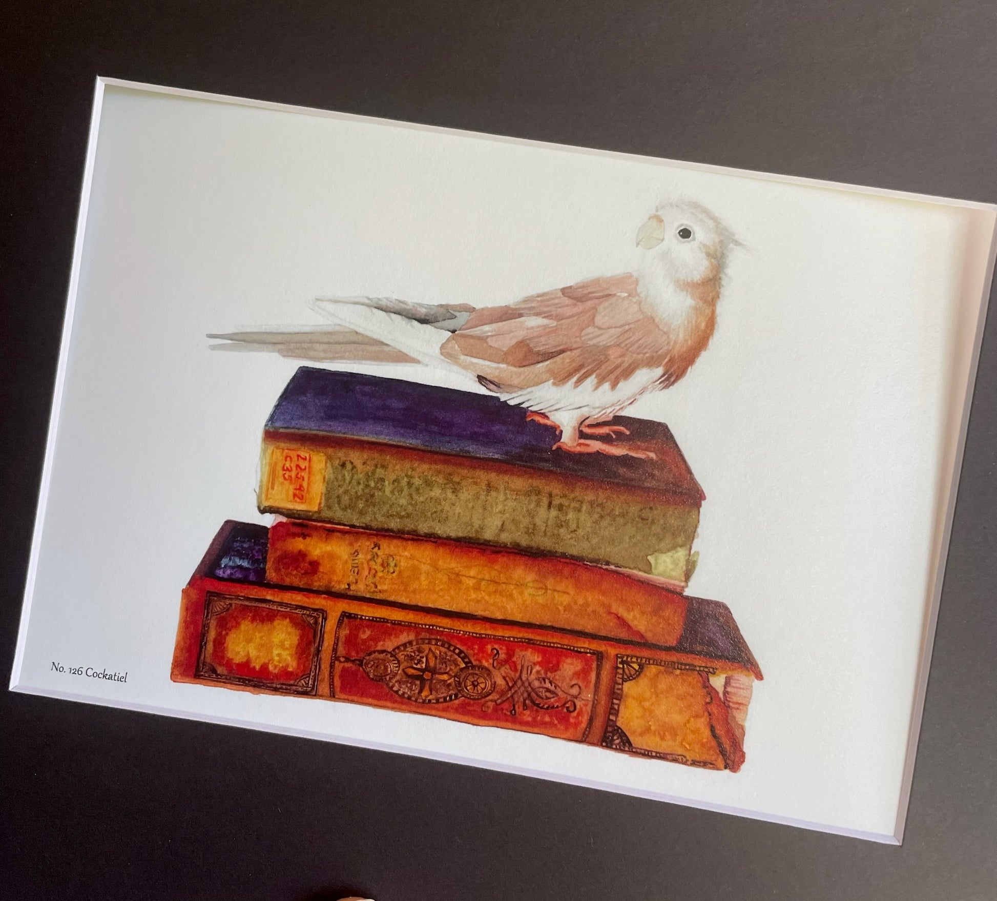 Cockatiel - Bird Art by KB - Giclee Print with Black Mat