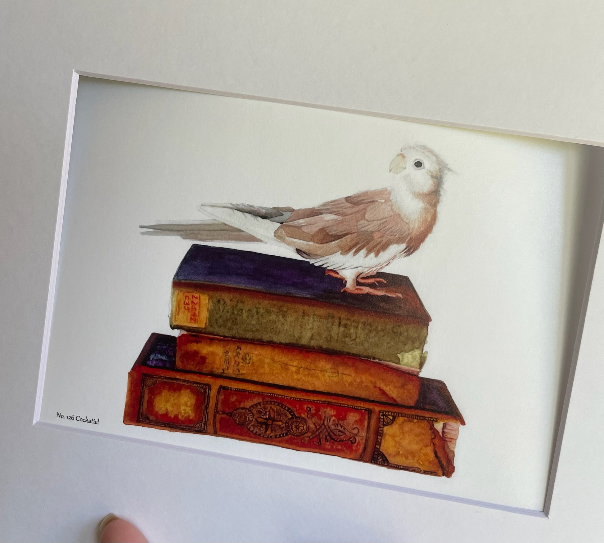 Cockatiel - Bird Art by KB - Giclee Print with White Mat