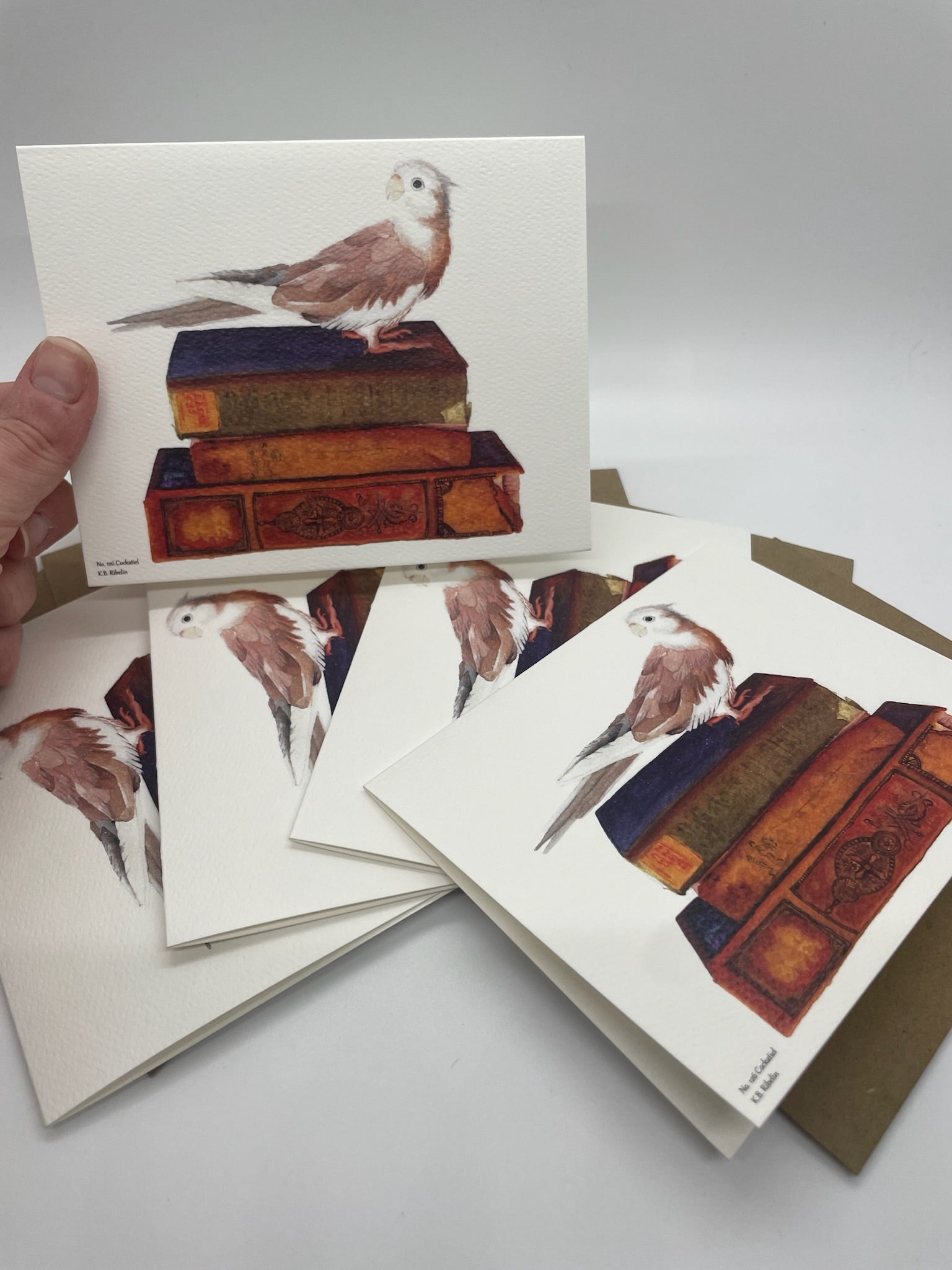 Cockatiel - Bird Art by KB - Notecard Individual