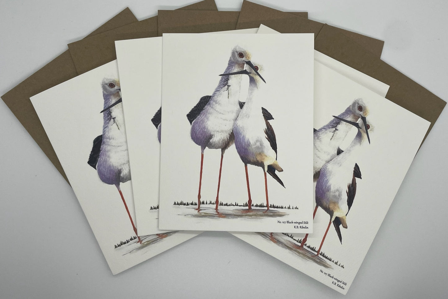 Black-winged Stilt - Bird Art by KB - Notecard Set