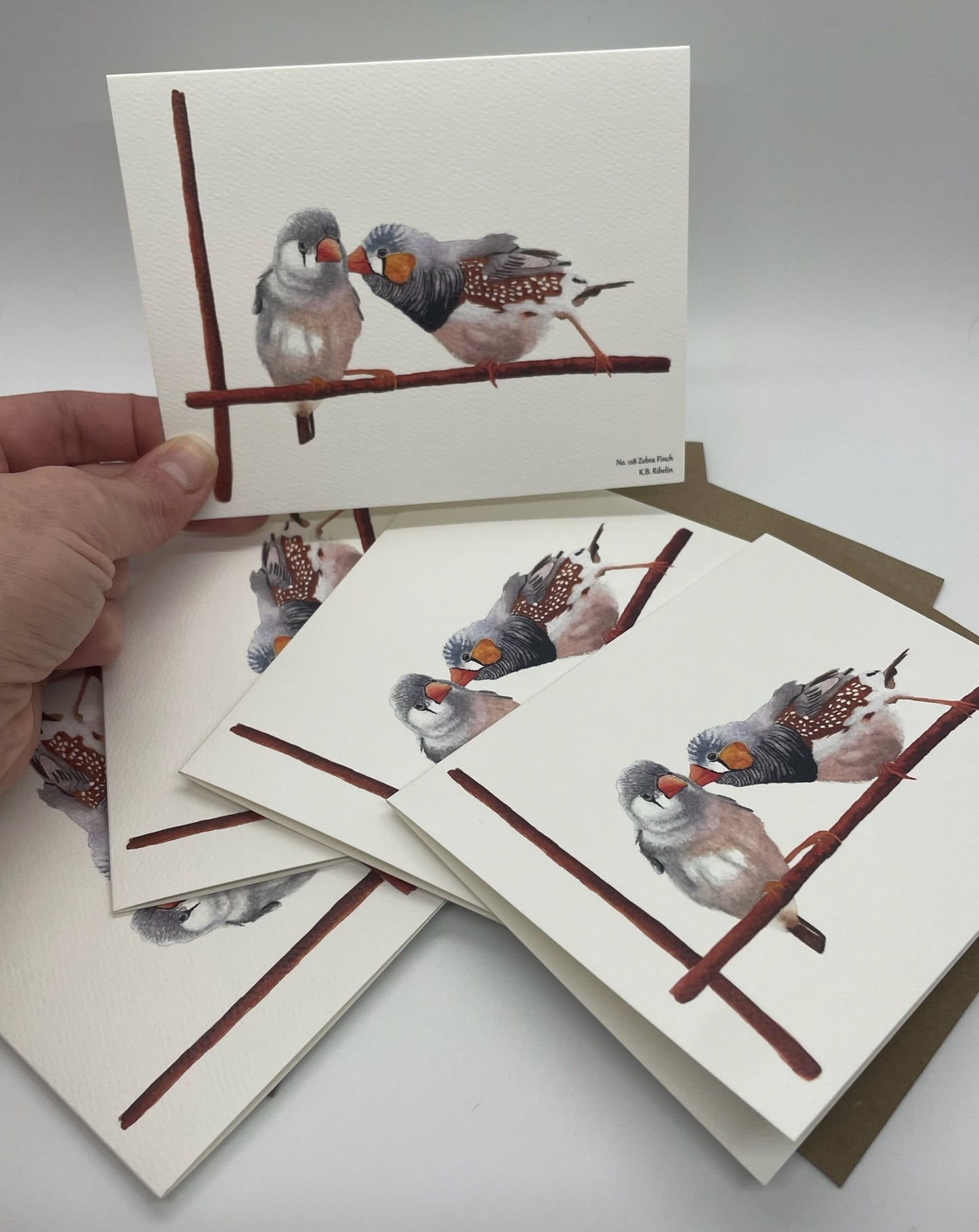 Zebra Finch - Bird Art by KB - Notecard Individual
