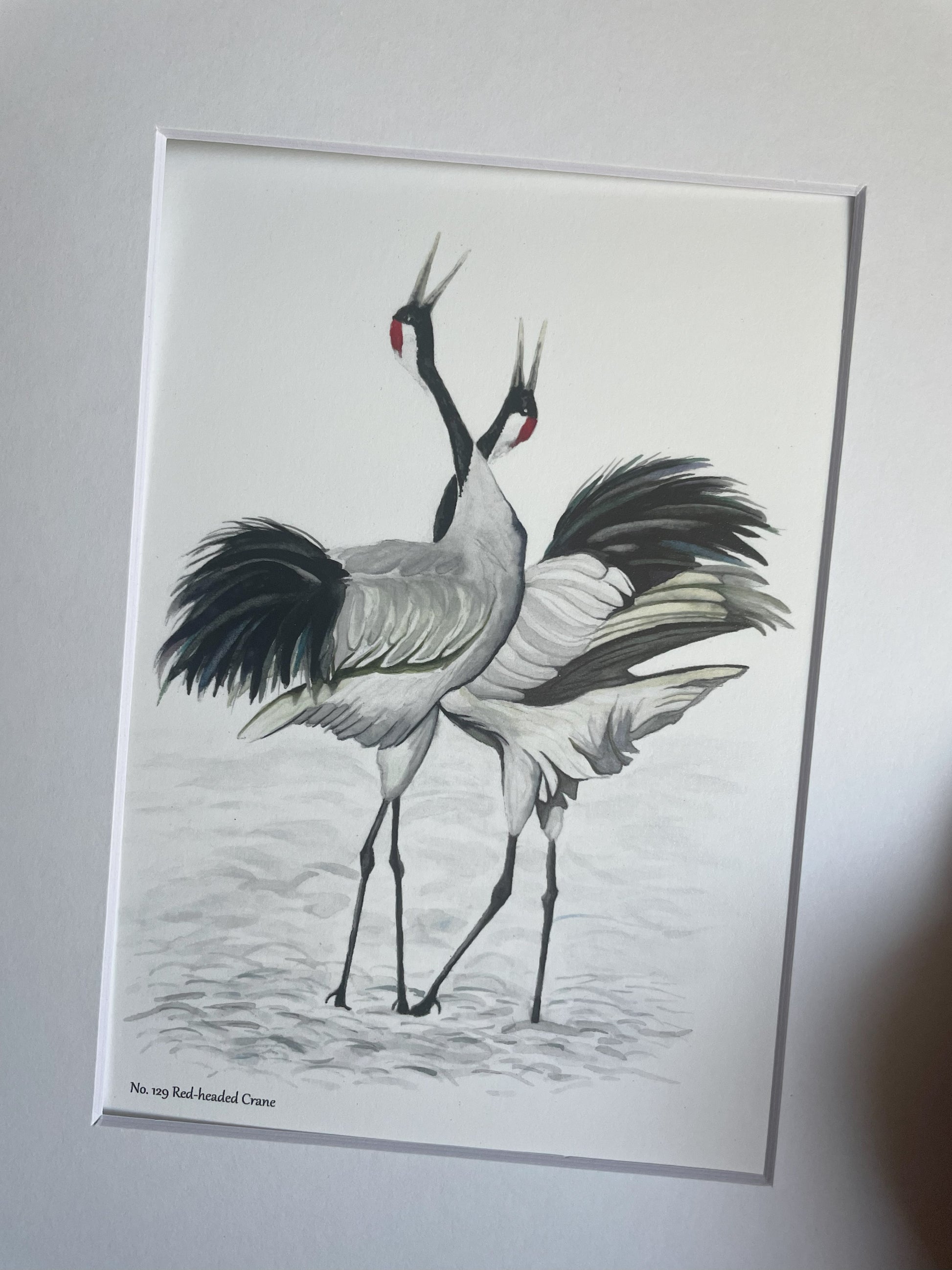 Red-crowned Crane - Bird Art by KB - Giclee Print with White Mat