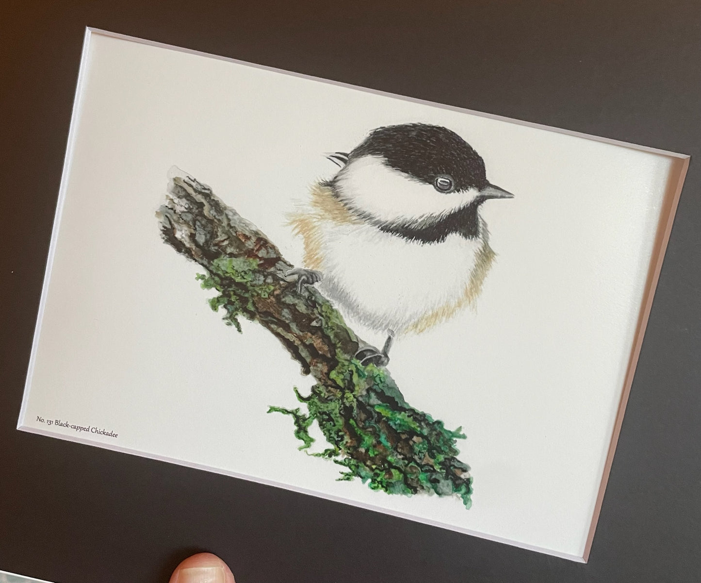 Black-capped Chickadee - Bird Art by KB - Giclee Print with Black Mat