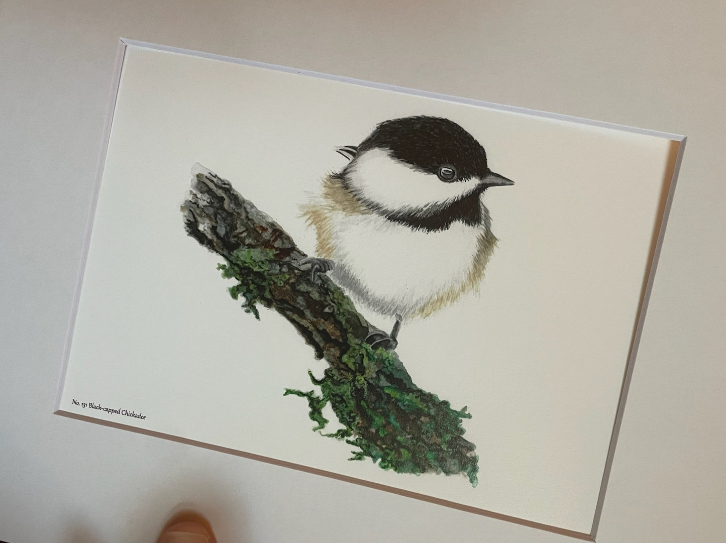 Black-capped Chickadee - Bird Art by KB - Giclee Print with White Mat