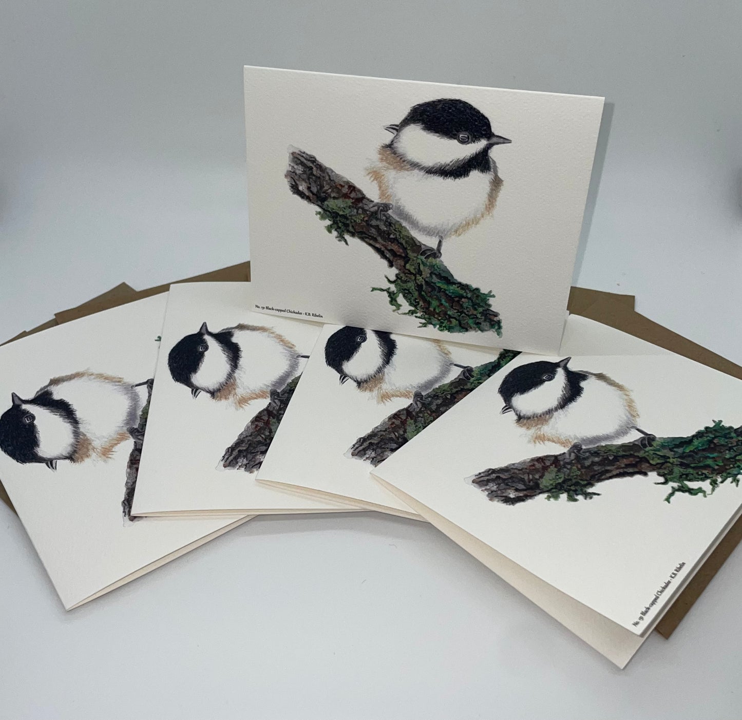Black-capped Chickadee - Bird Art by KB - Notecard Set