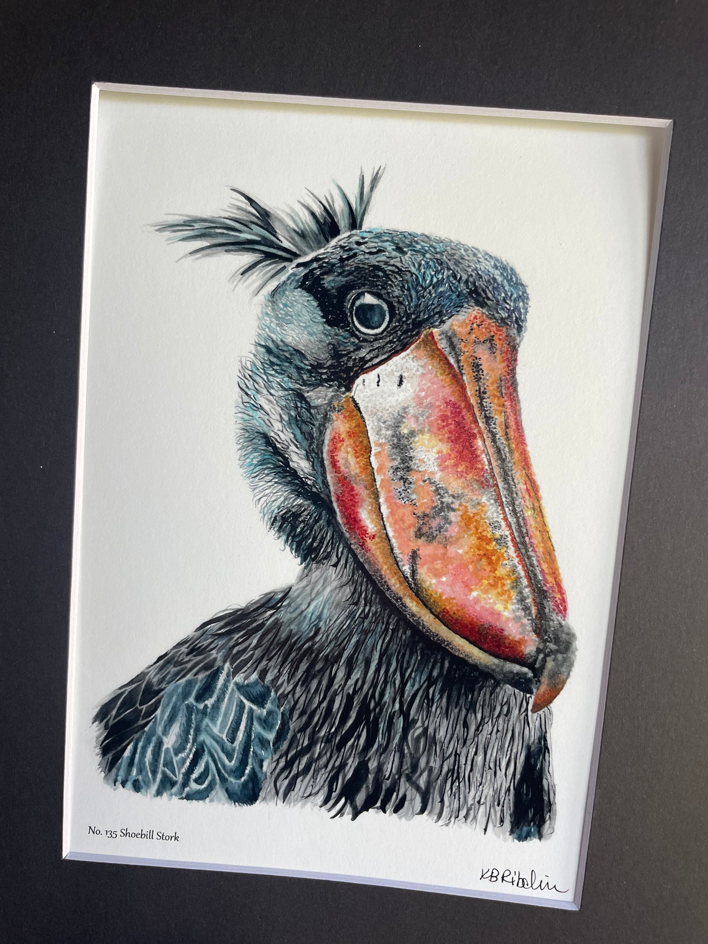 Shoebill Stork - Bird Art by KB - Giclee Print with Black Mat