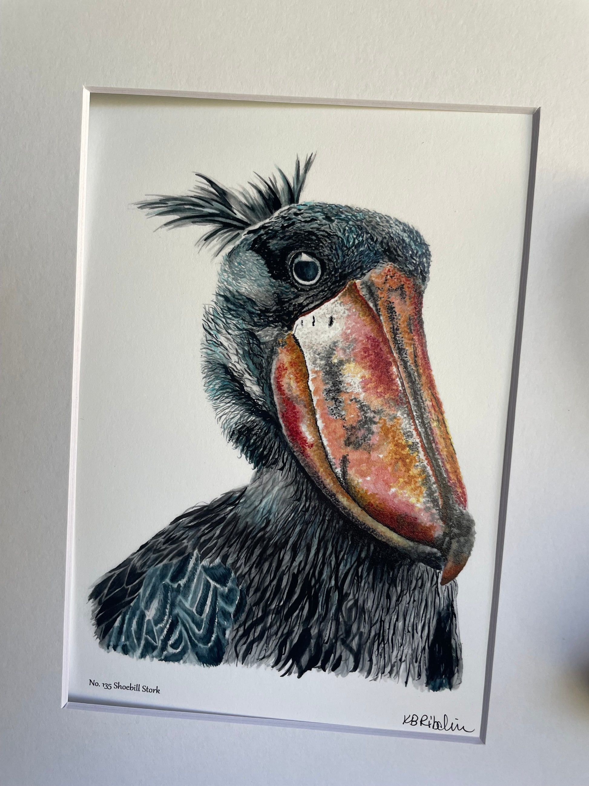 Shoebill Stork - Bird Art by KB - Giclee Print with White Mat