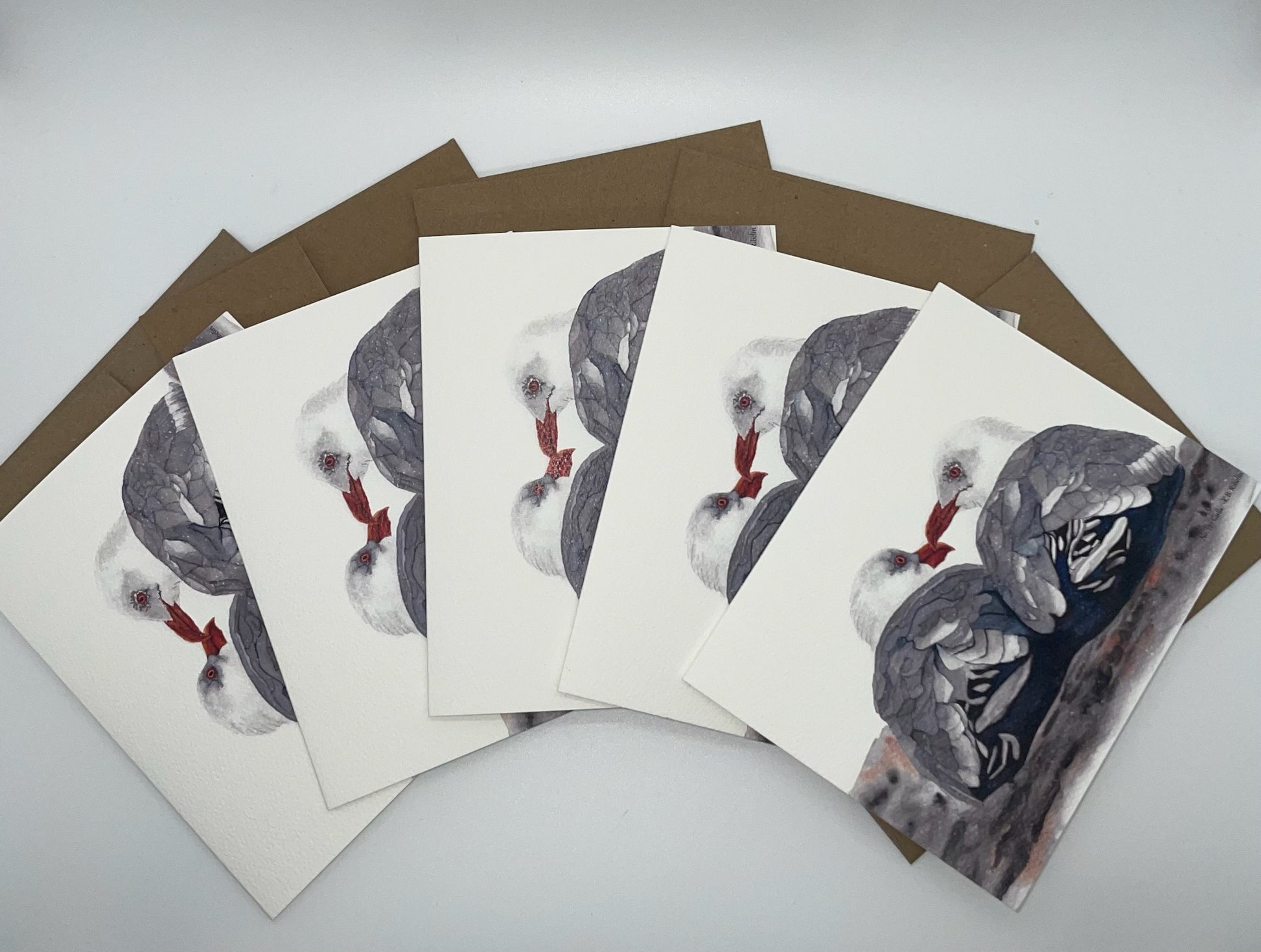 Sea Gulls - Bird Art by KB - Notecard Set