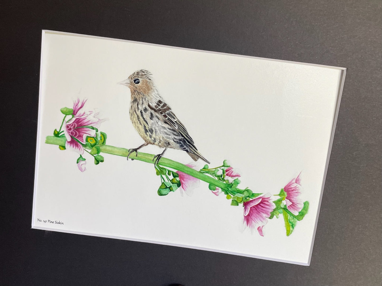 Pine Siskin - Bird Art by KB - Giclee Print with Black Mat