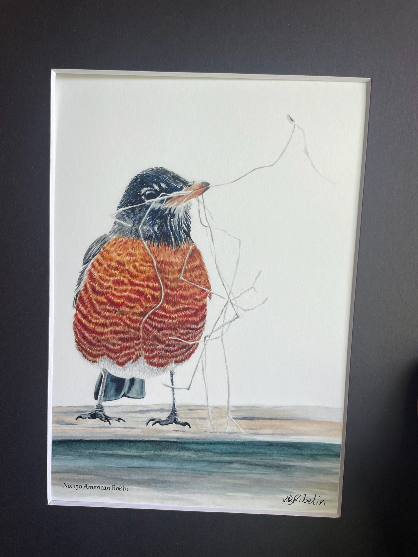 American Robin - Bird Art by KB - Giclee Print with Black Mat