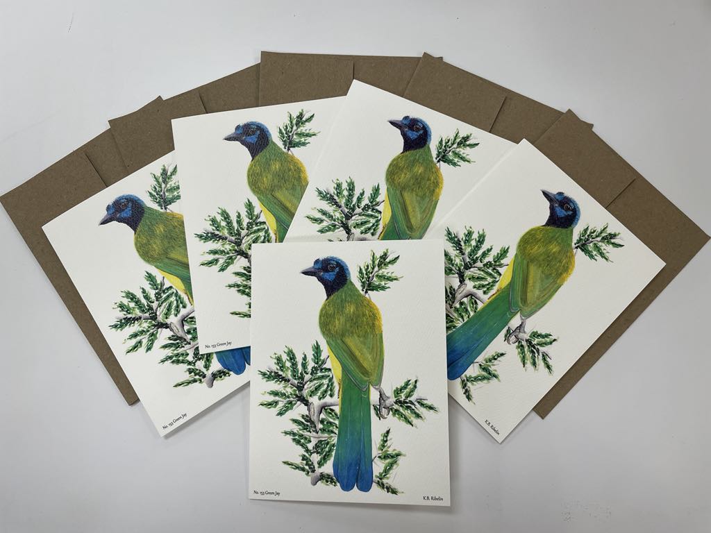 Green Jay - Bird Art by KB - Notecards