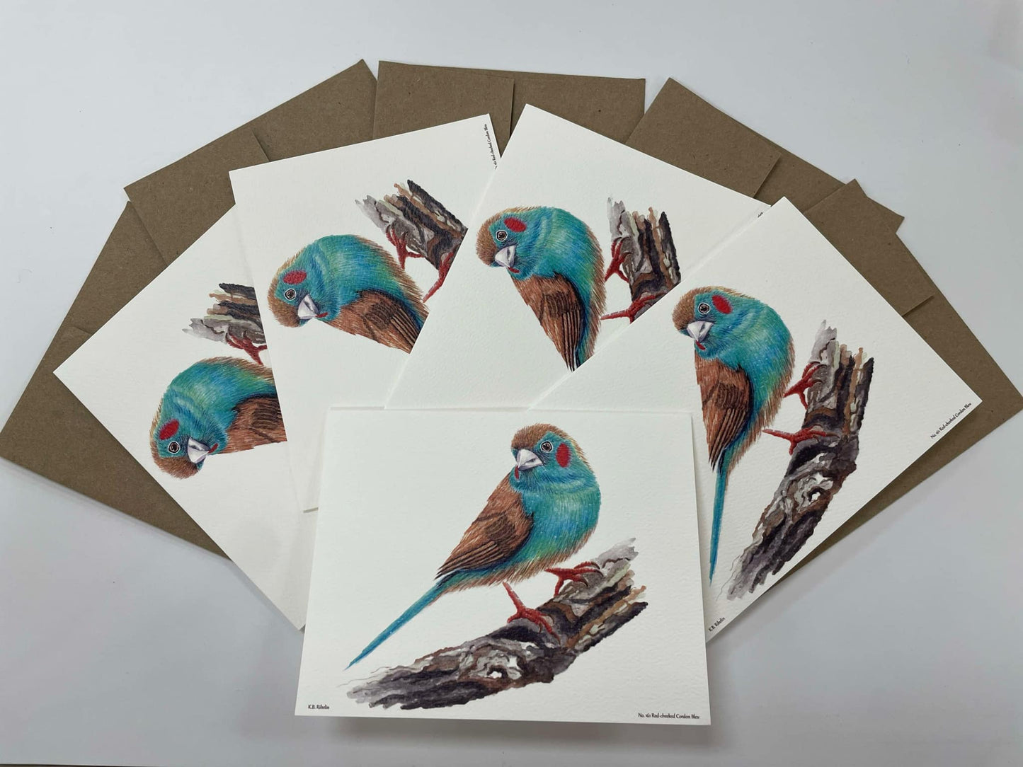Red-cheeked Cordon Bleu - Bird Art by KB - Notecard Set