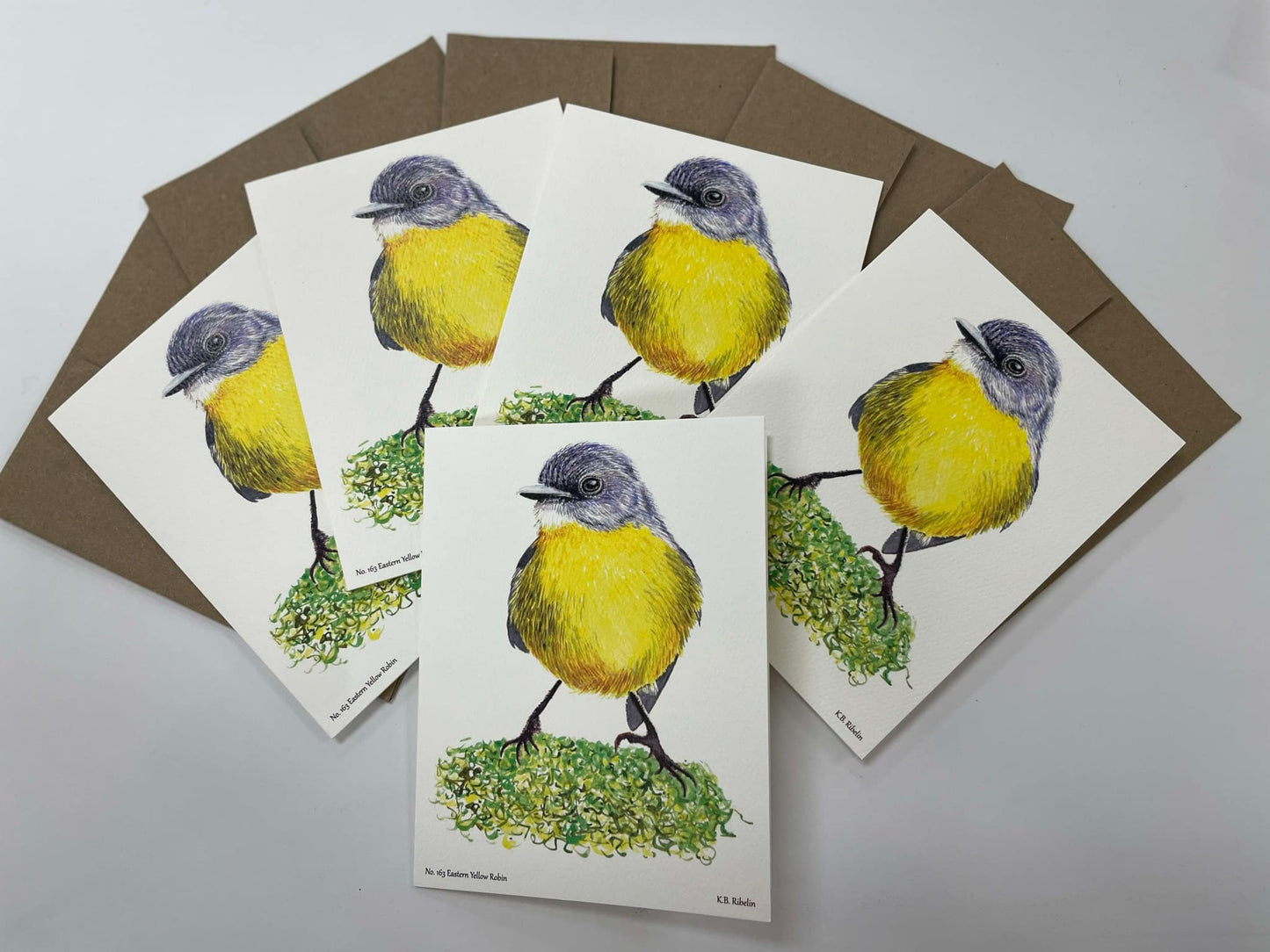 Eastern Yellow Robin - Bird Art by KB - Notecard Set