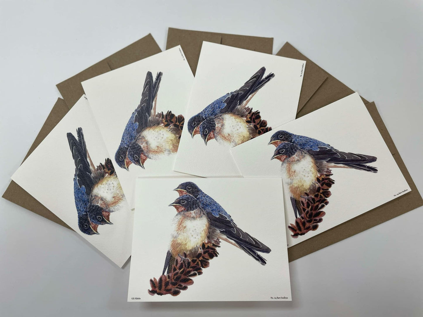 Barn Swallows - Bird Art by KB - Notecard Set