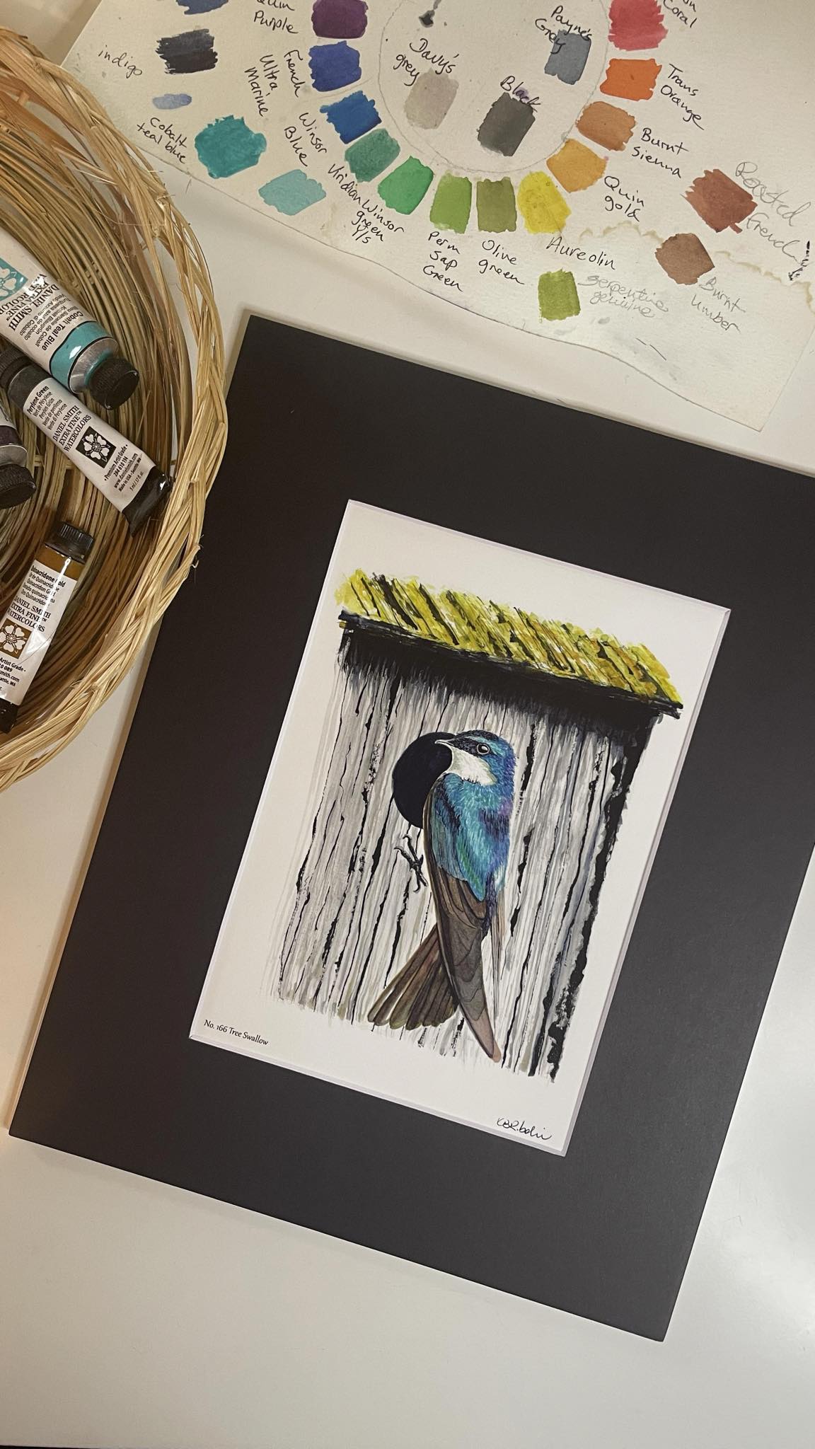 Tree Swallow - Bird Art by KB - Giclee Print with Black Mat