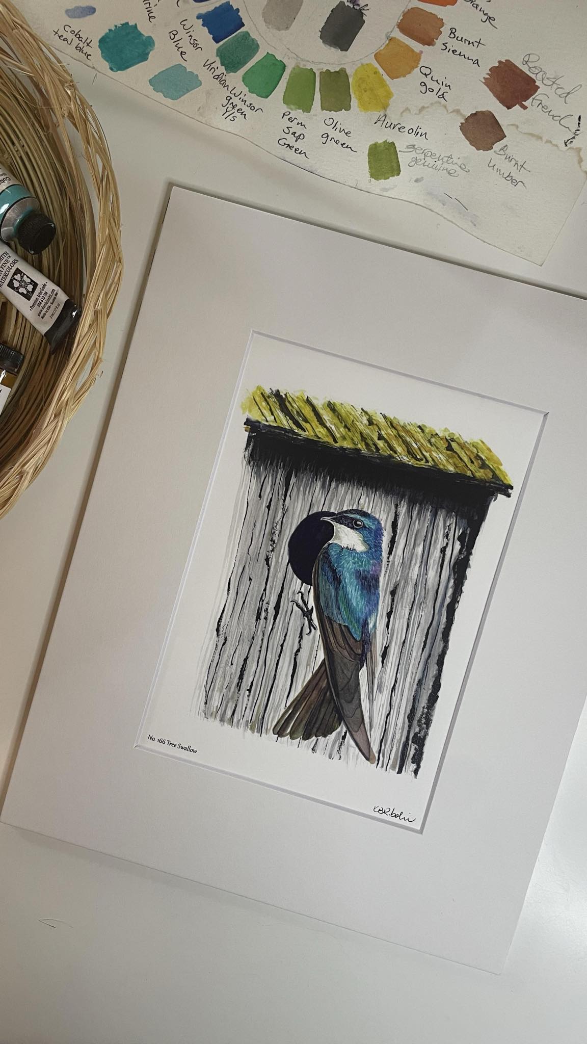 Tree Swallow - Bird Art by KB - Giclee Print with White Mat