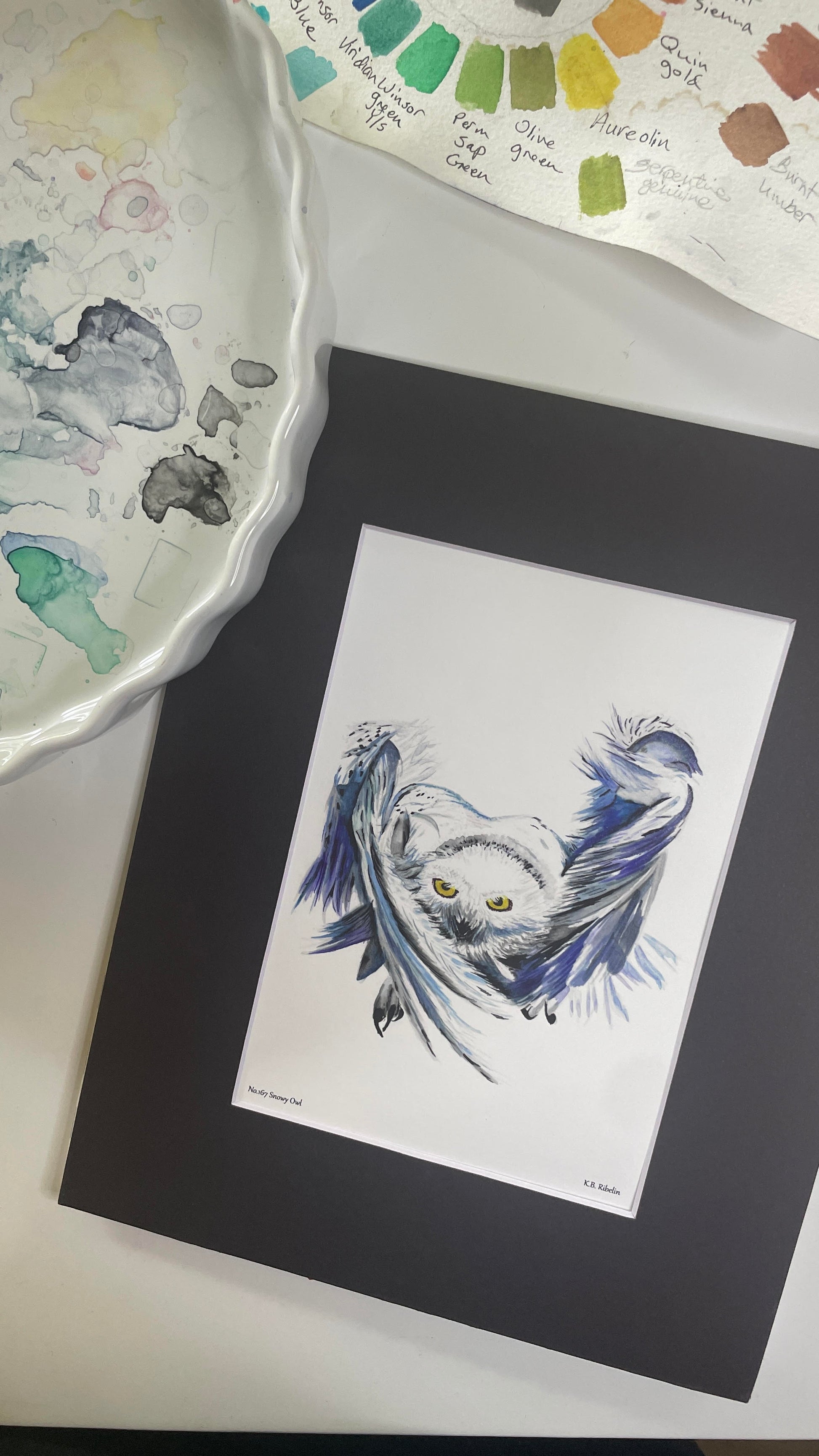 Snowy Owl - Bird Art by KB - Giclee Print with Black Mat