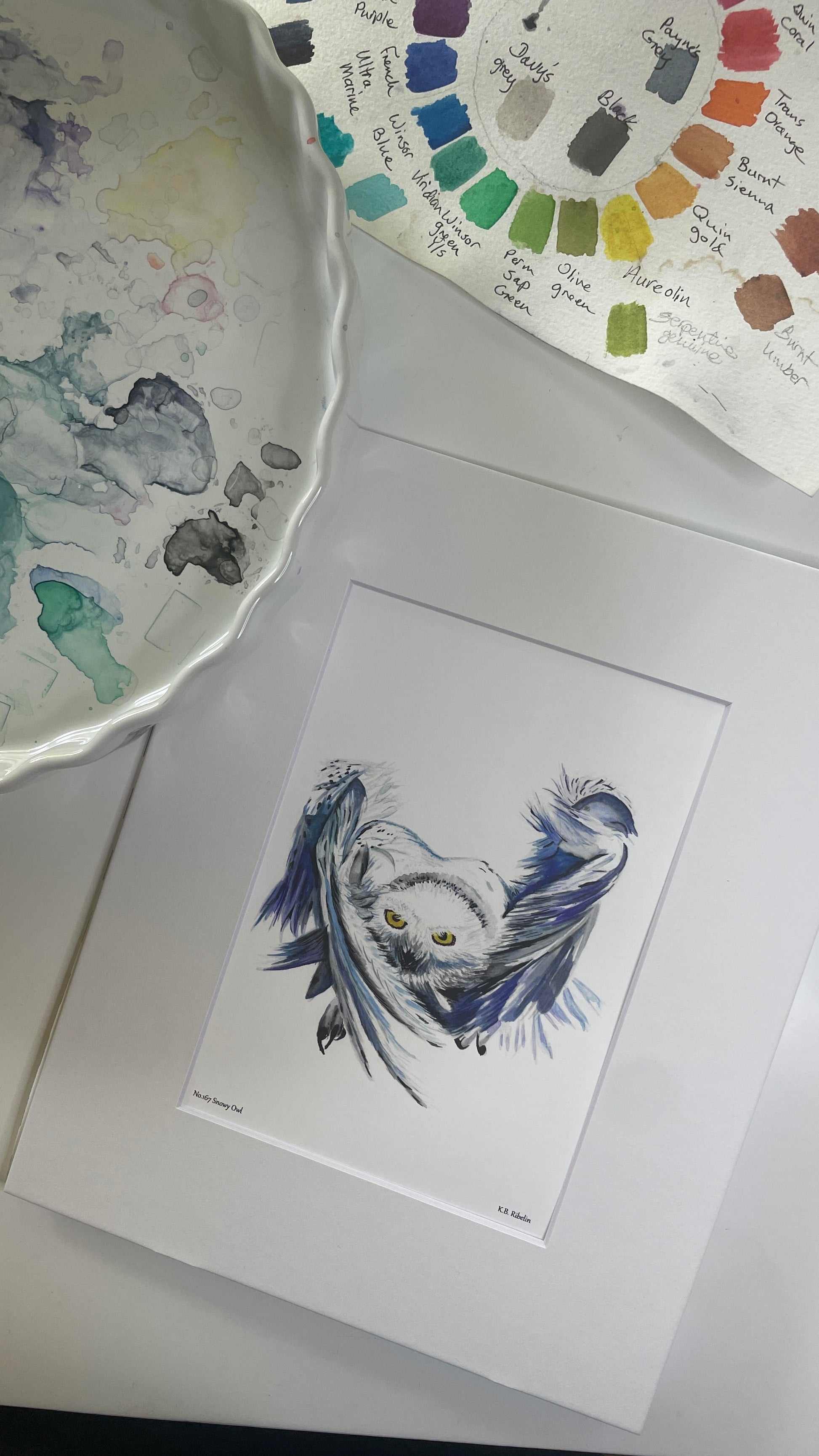 Snowy Owl - Bird Art by KB - Giclee Print with White Mat