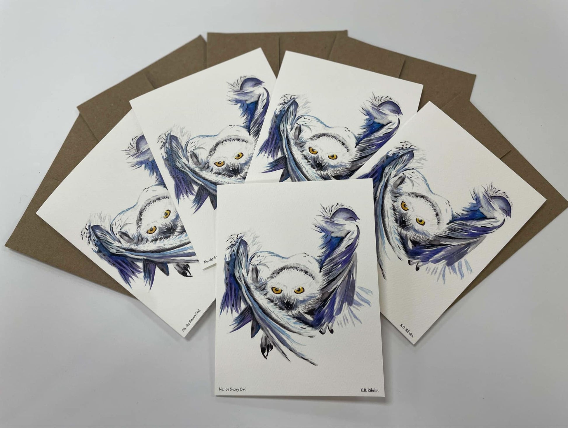 Snowy Owl - Bird Art by KB - Notecard Set