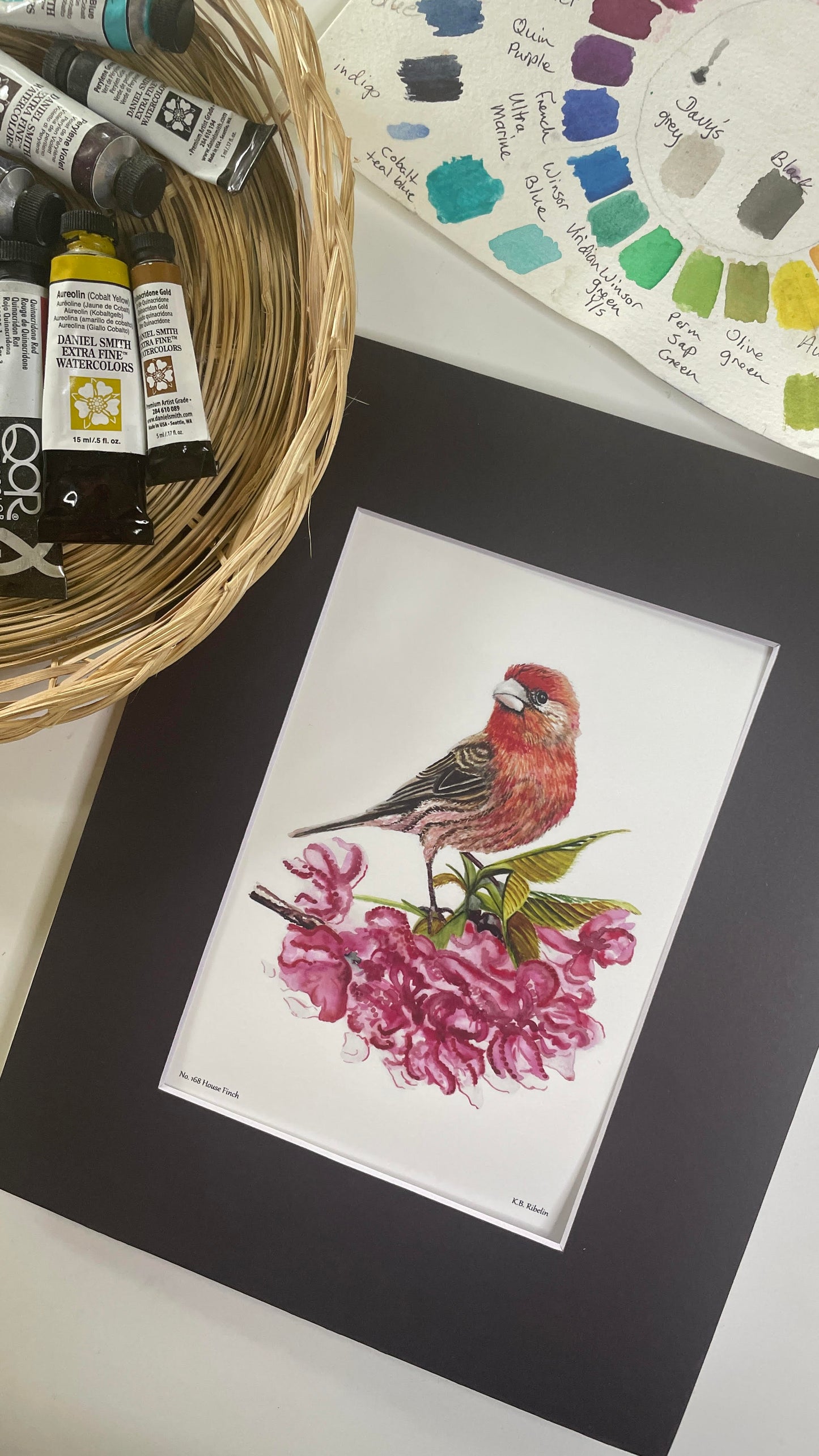 House Finch - Bird Art by KB - Giclee Print with Black Mat