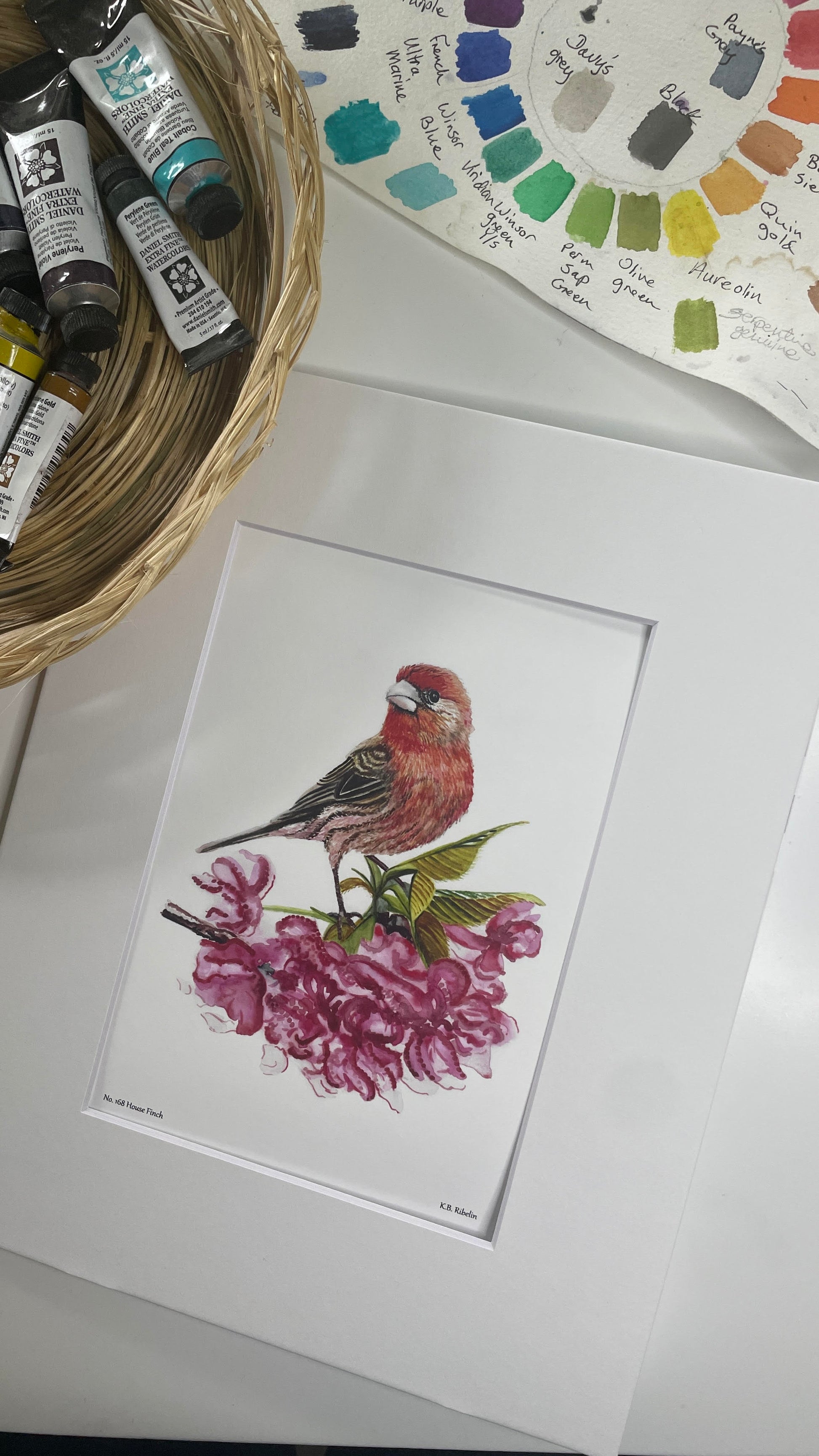 House Finch - Bird Art by KB - Giclee Print with White Mat