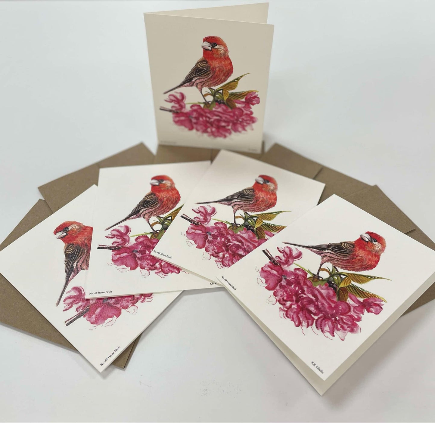 House Finch - Bird Art by KB - Notecard Individual