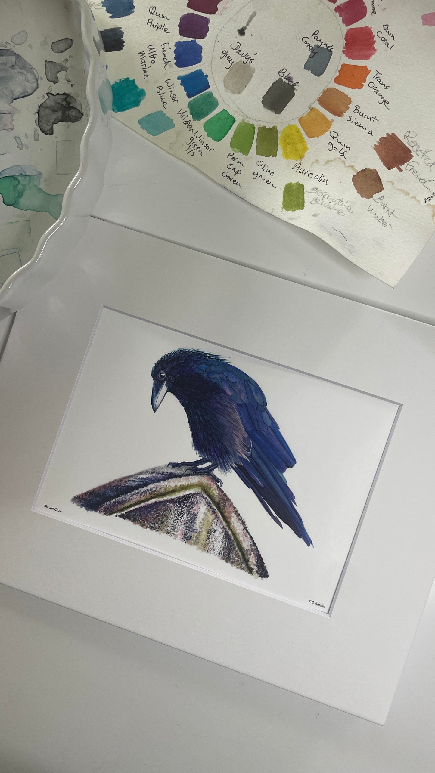 Crow - Bird Art by KB - Giclee Print with White Mat