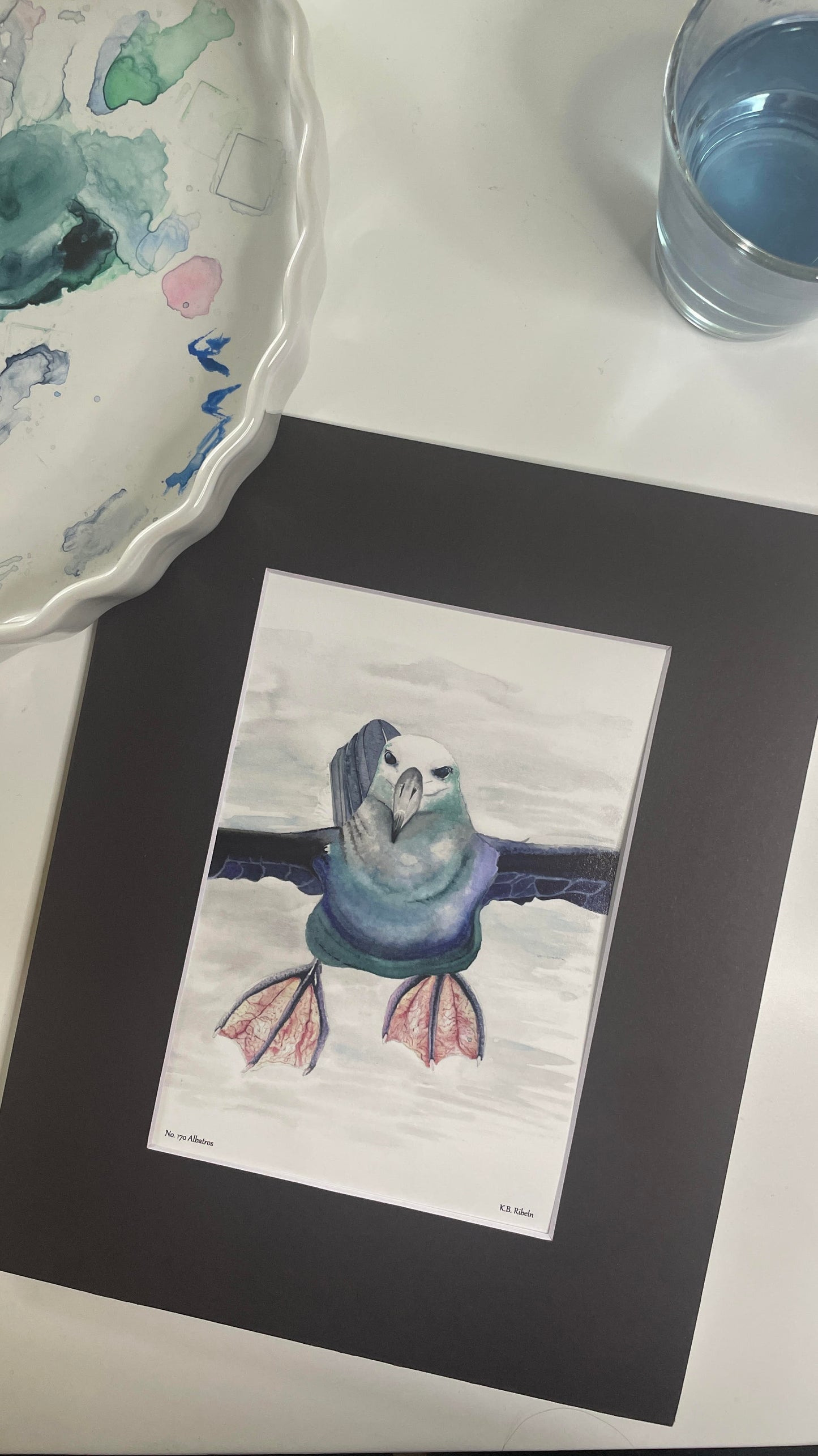 Albatross - Bird Art by KB - Giclee Print with Black Mat